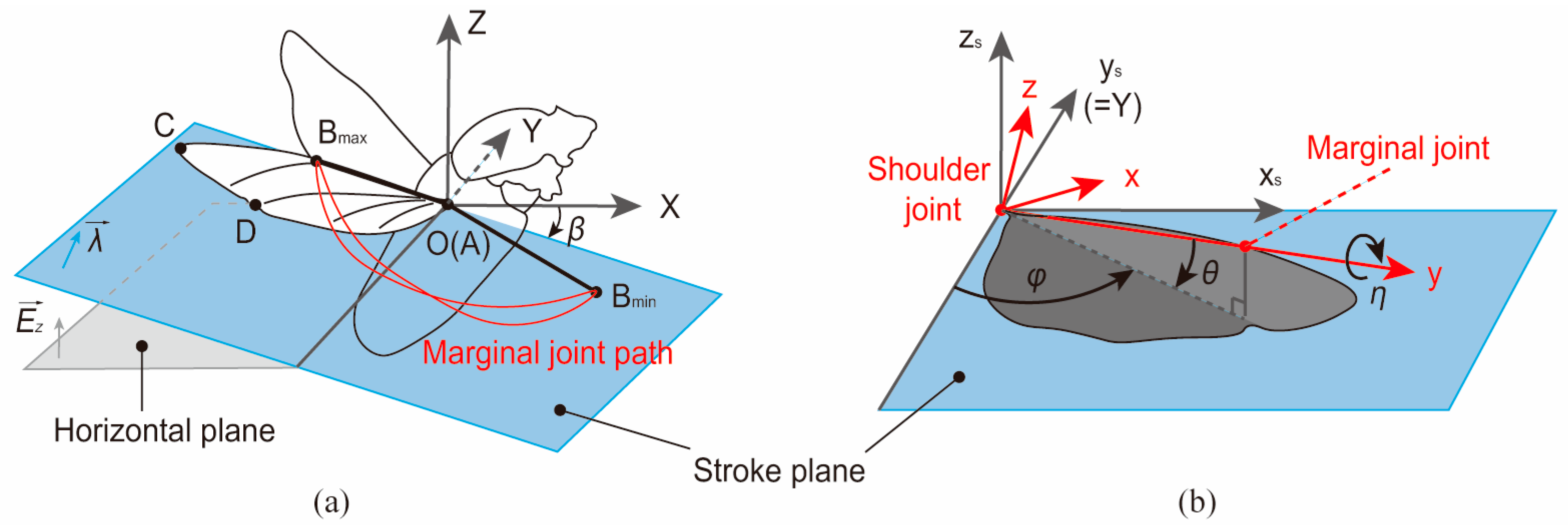 Biomimetics 09 00183 g006