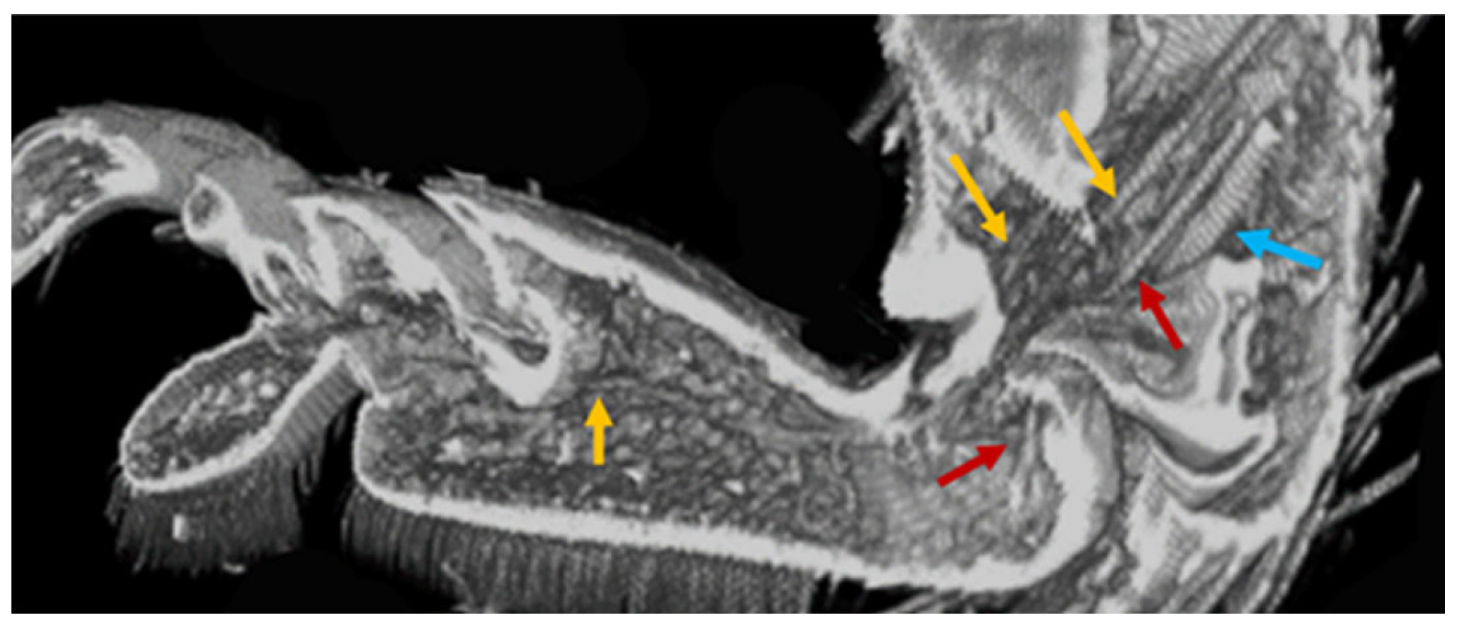 Biomimetics 09 00184 g007