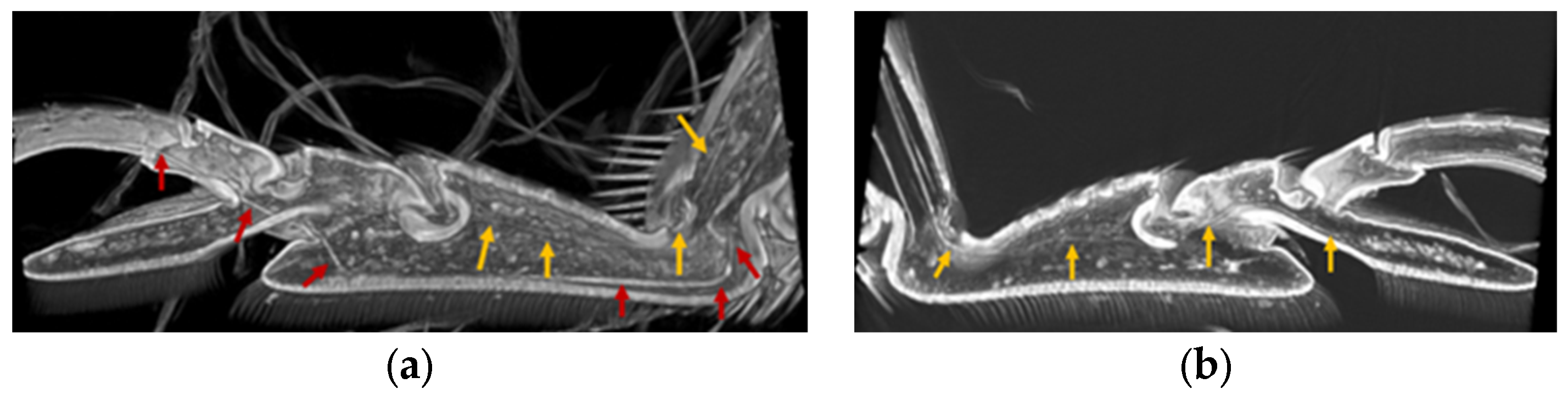 Biomimetics 09 00184 g008