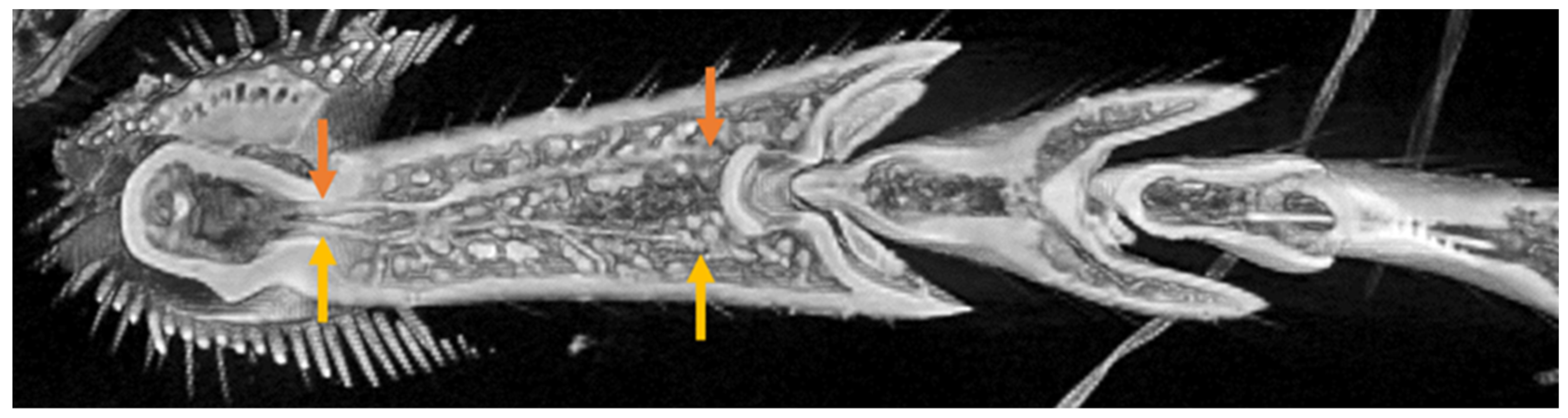 Biomimetics 09 00184 g009