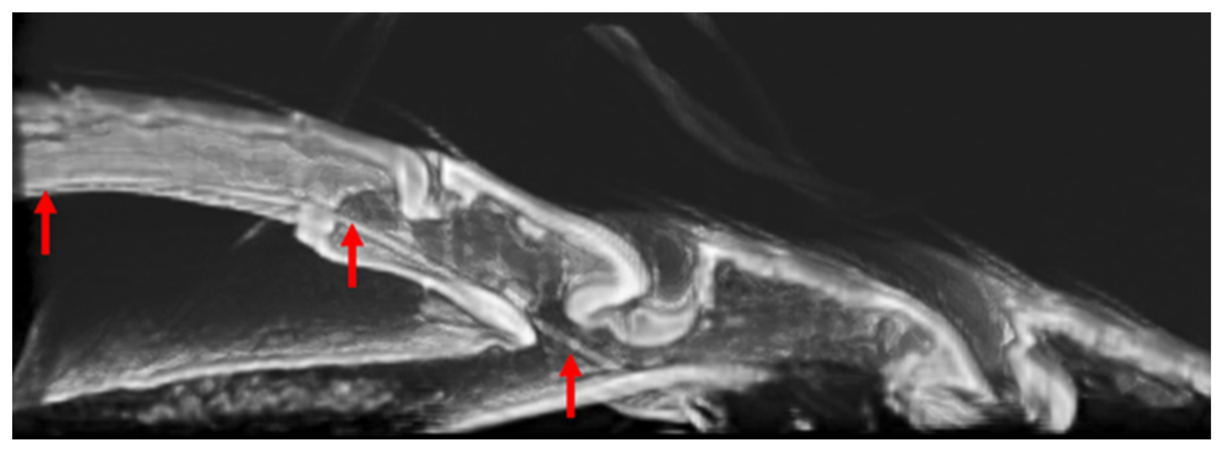 Biomimetics 09 00184 g010
