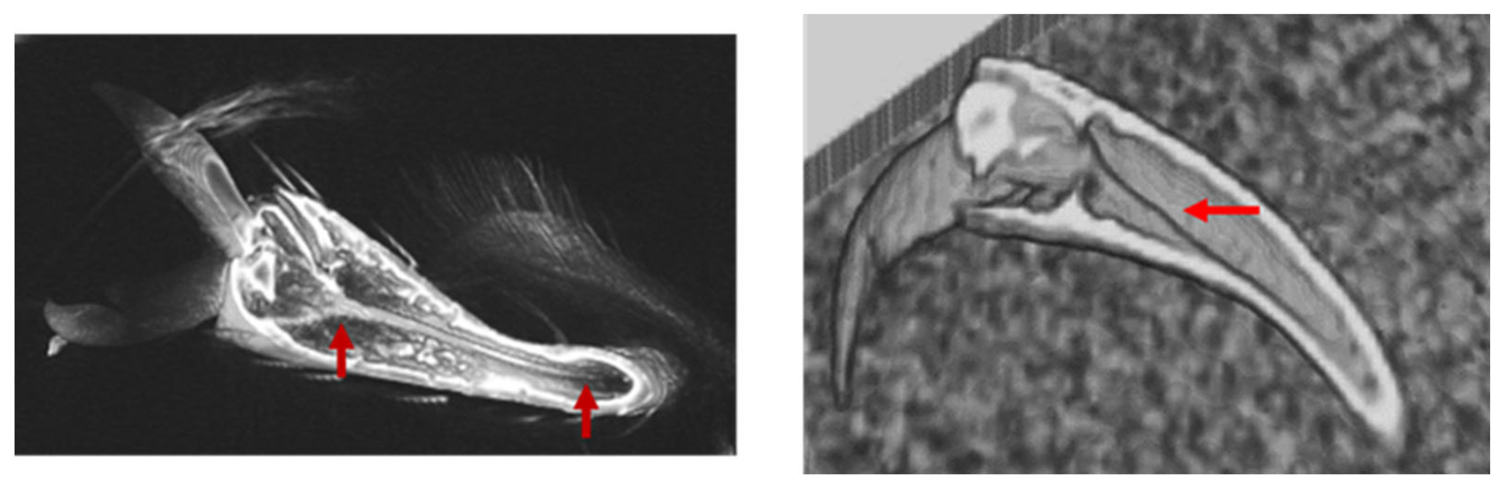 Biomimetics 09 00184 g011