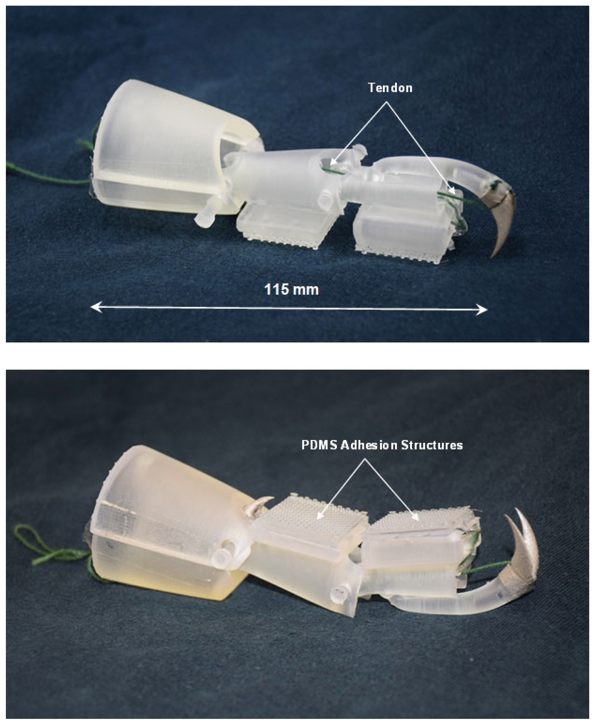 Biomimetics 09 00184 g016