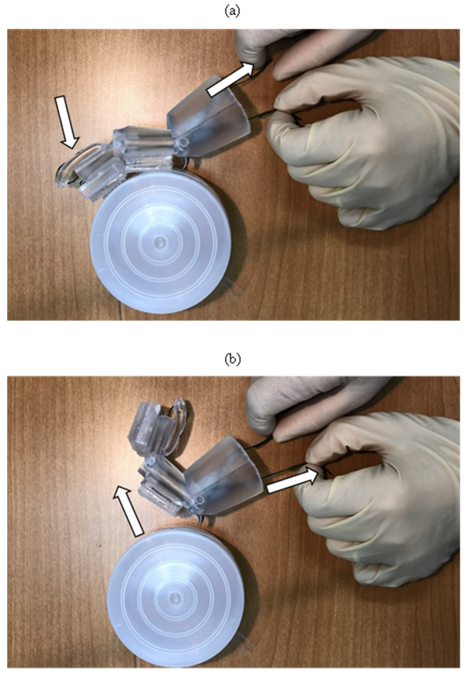 Biomimetics 09 00184 g017