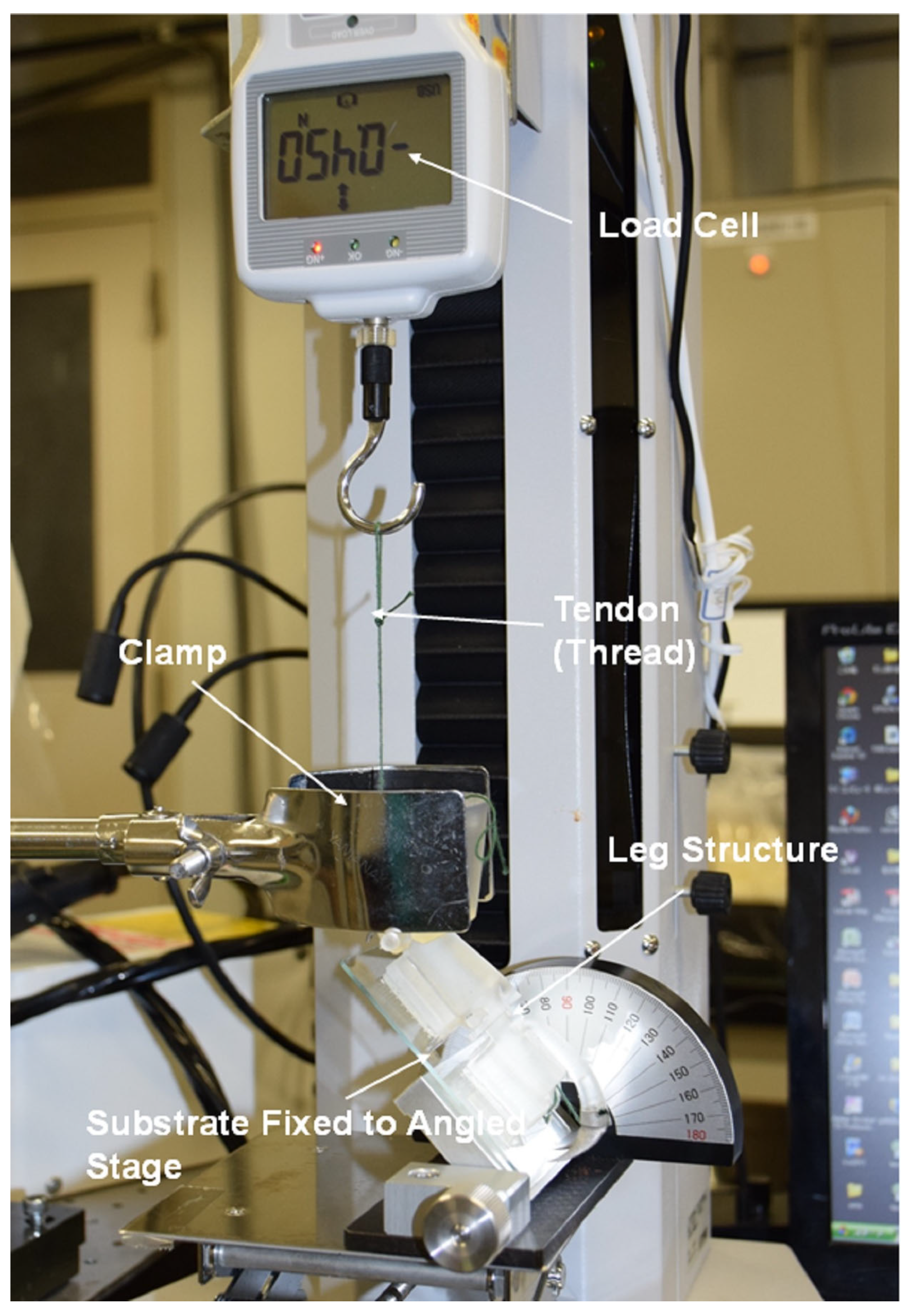 Biomimetics 09 00184 g018