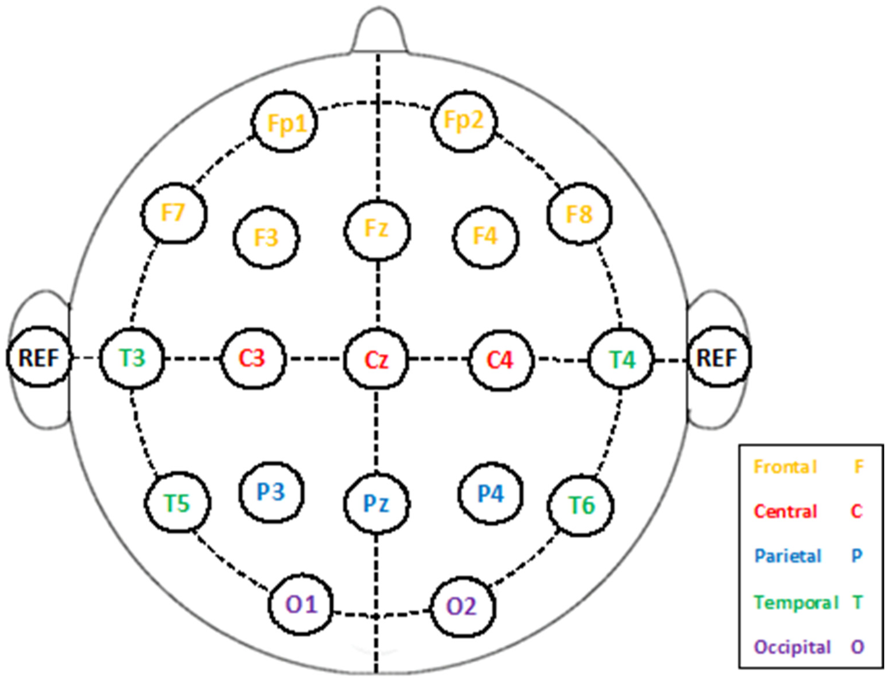 Biomimetics 09 00188 g002