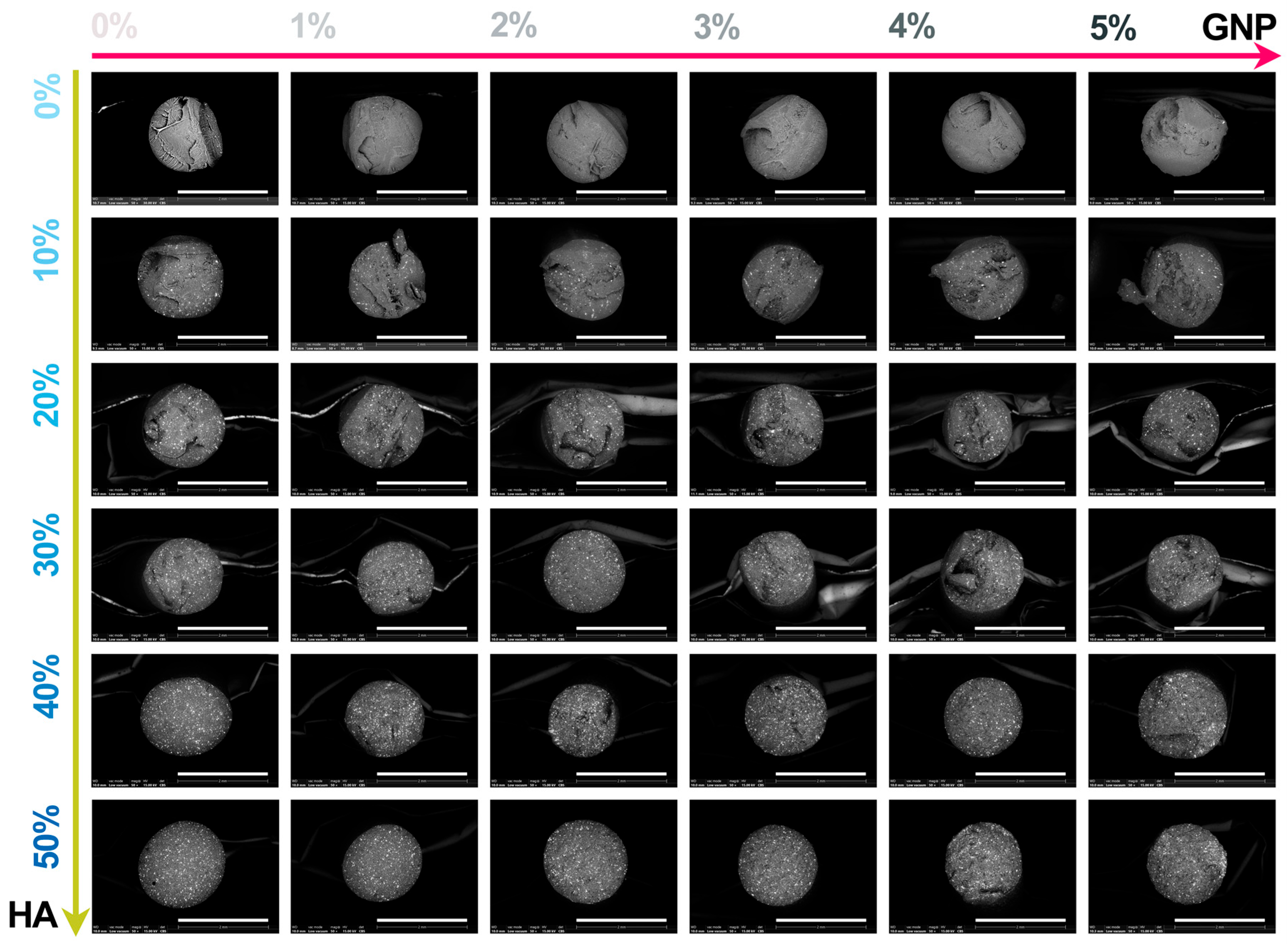 Biomimetics 09 00189 g003
