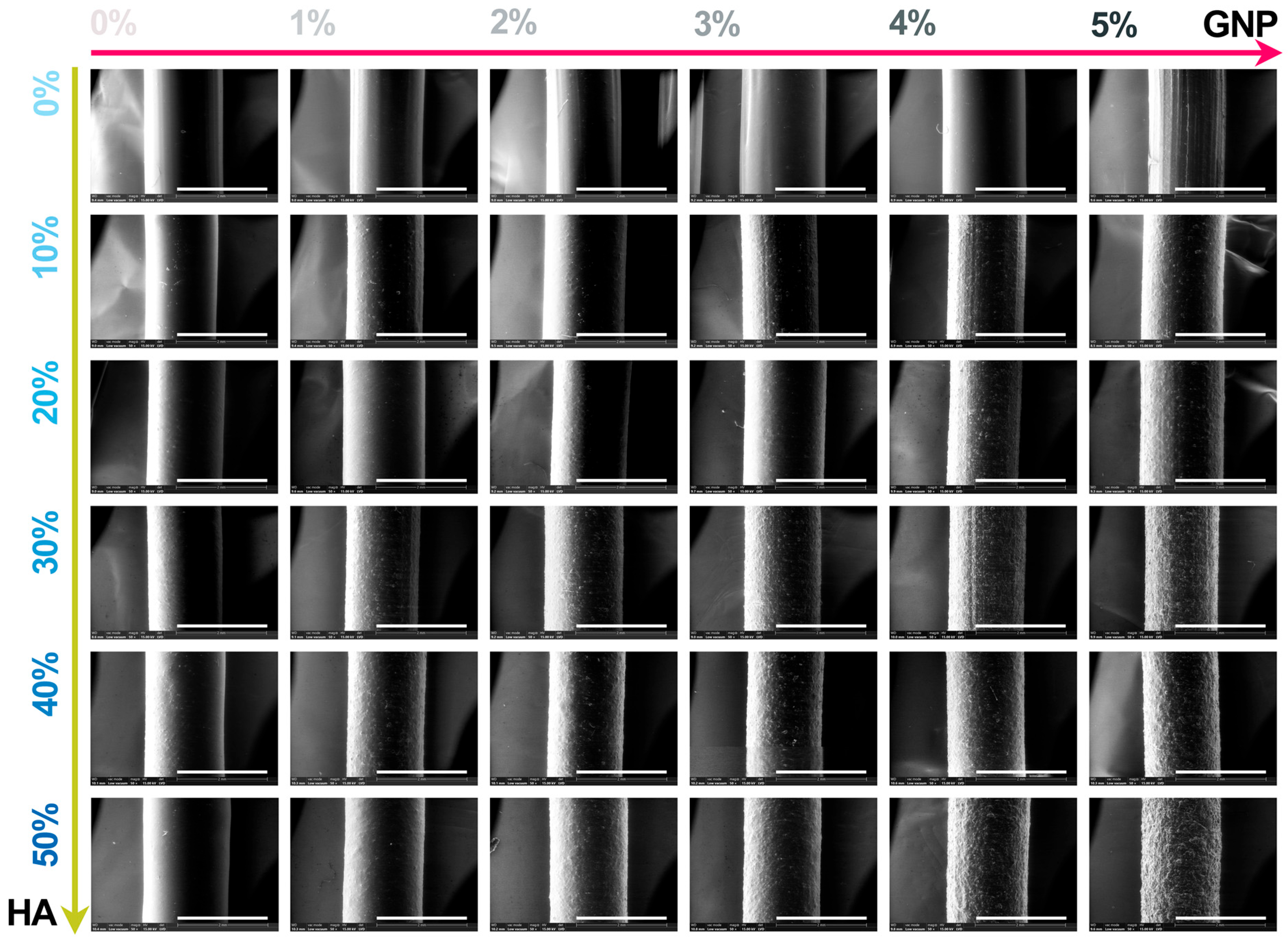 Biomimetics 09 00189 g004