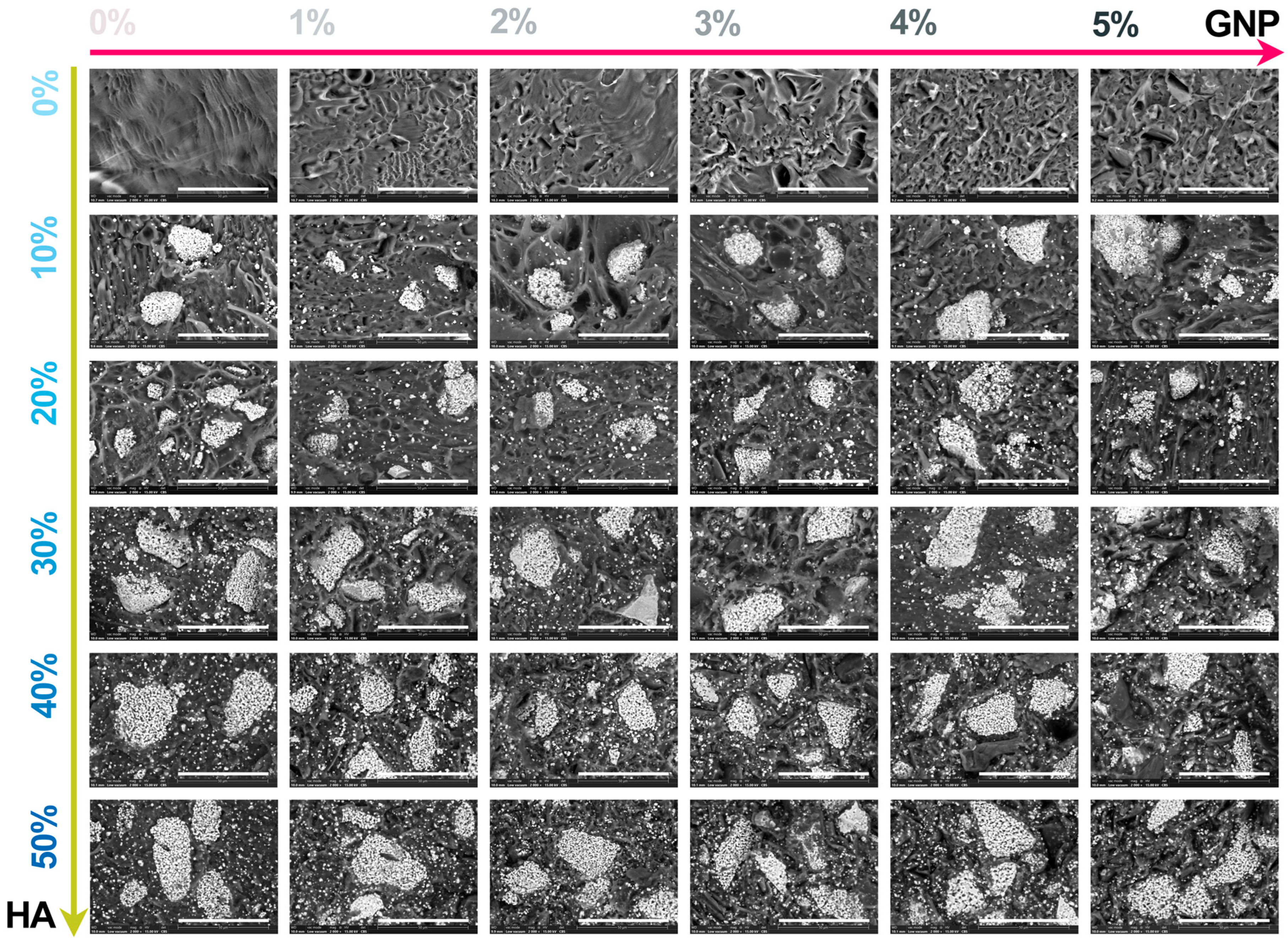 Biomimetics 09 00189 g005