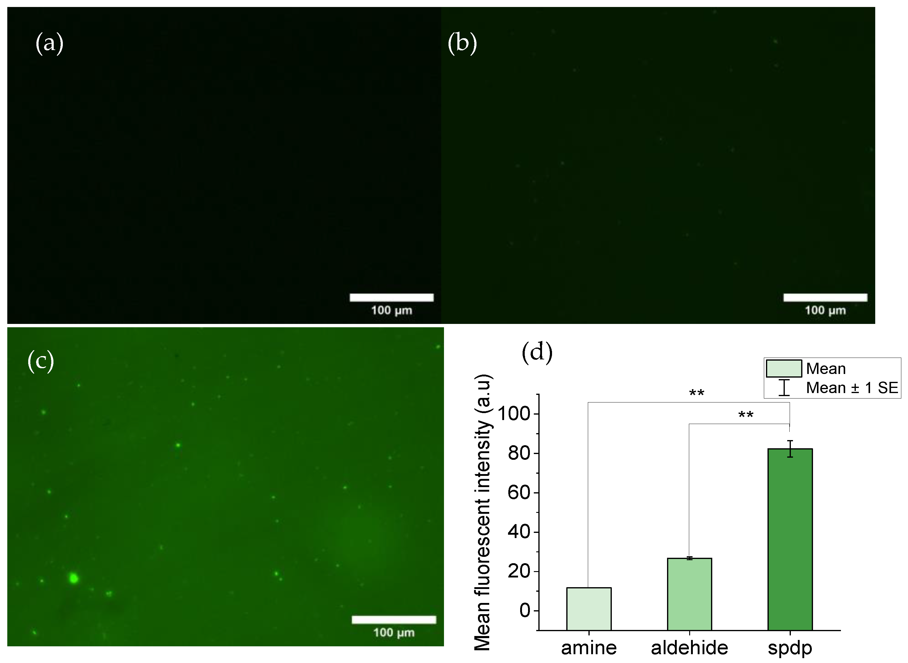 Biomimetics 09 00192 g001