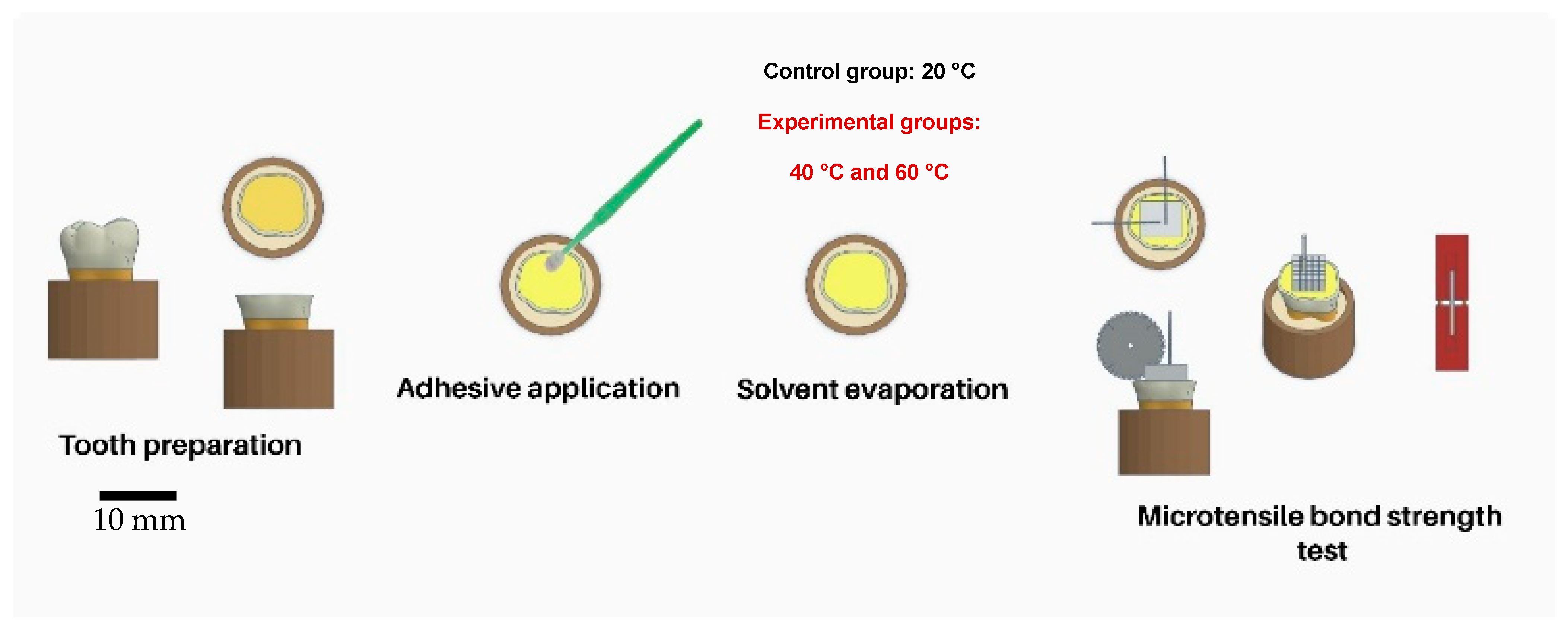 Biomimetics 09 00194 g001