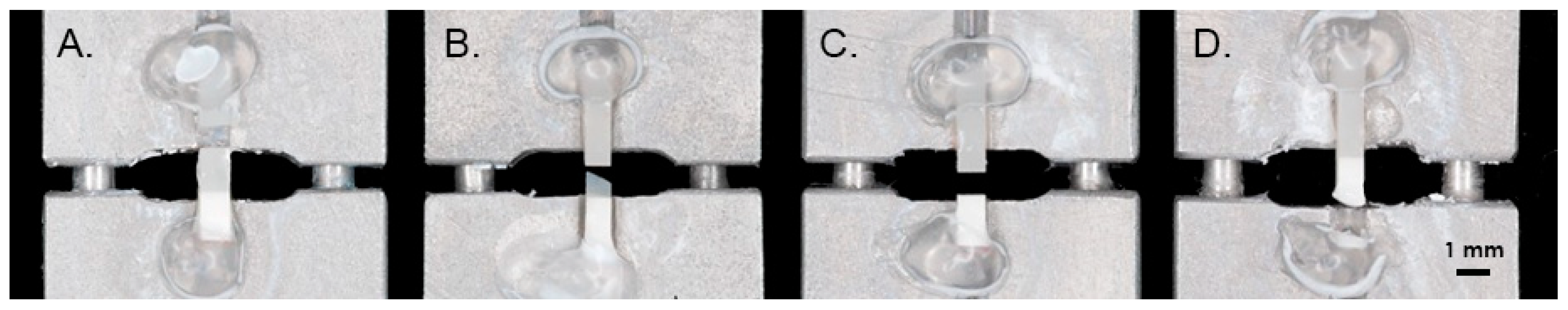 Biomimetics 09 00194 g002