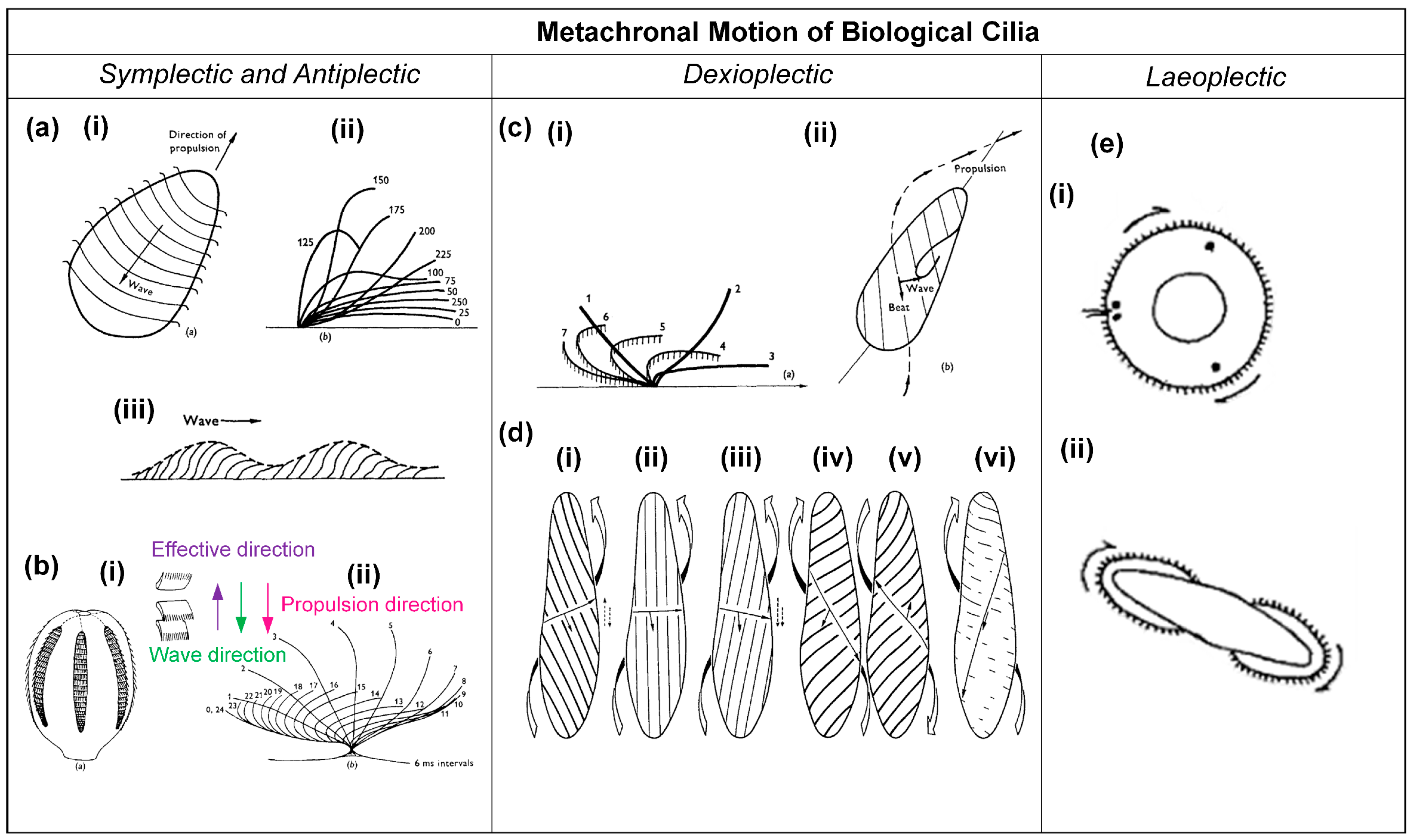 Biomimetics 09 00198 g002