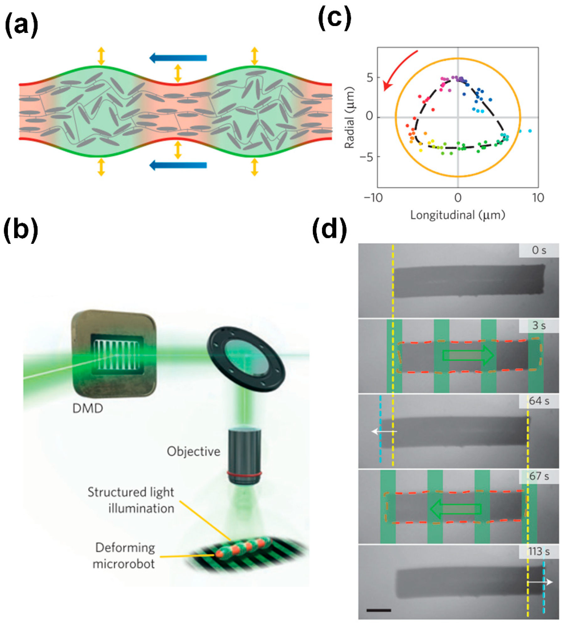 Biomimetics 09 00198 g004