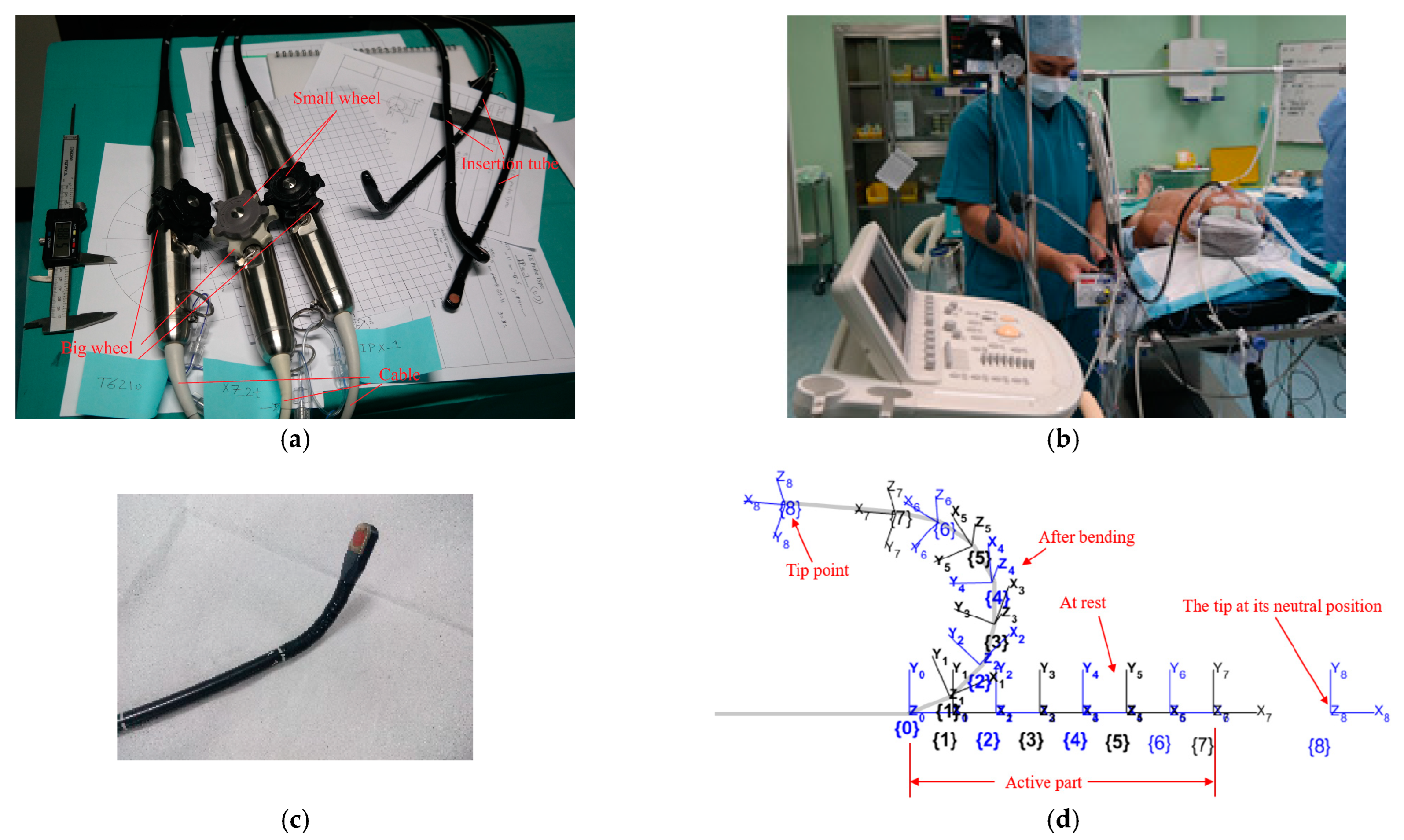 Biomimetics 09 00199 g001