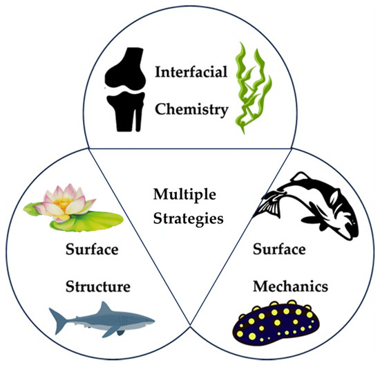Bioinspired Interfacial Friction Control: From Chemistry to 
