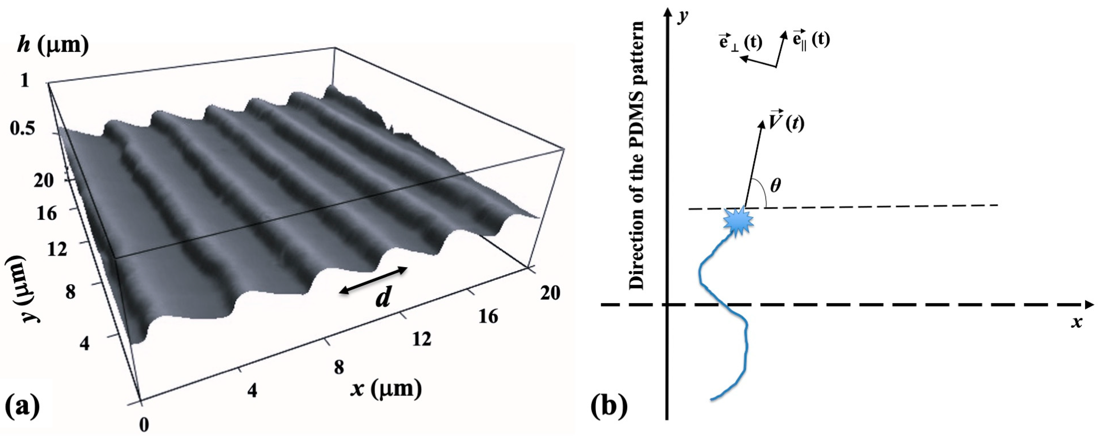Biomimetics 09 00203 g001