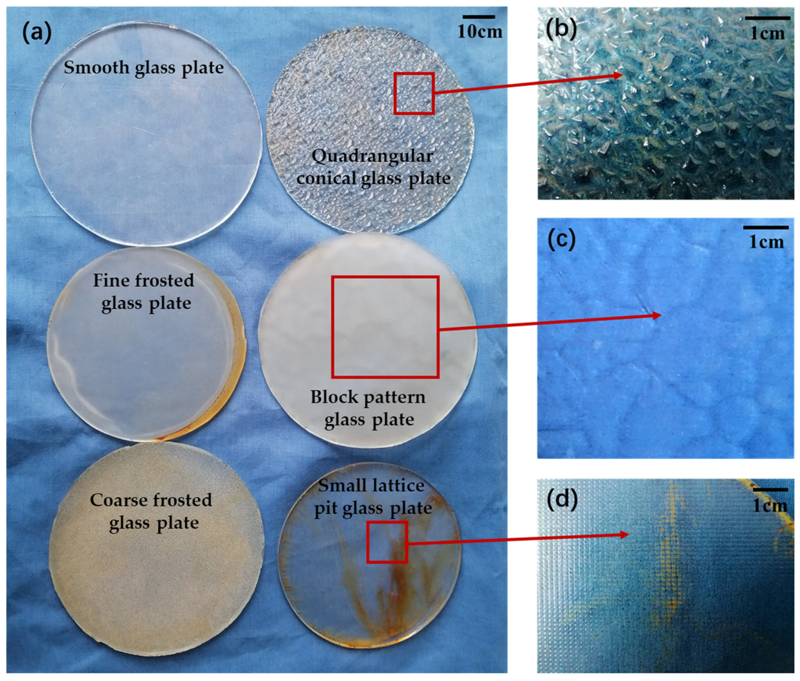 Biomimetics 09 00206 g002