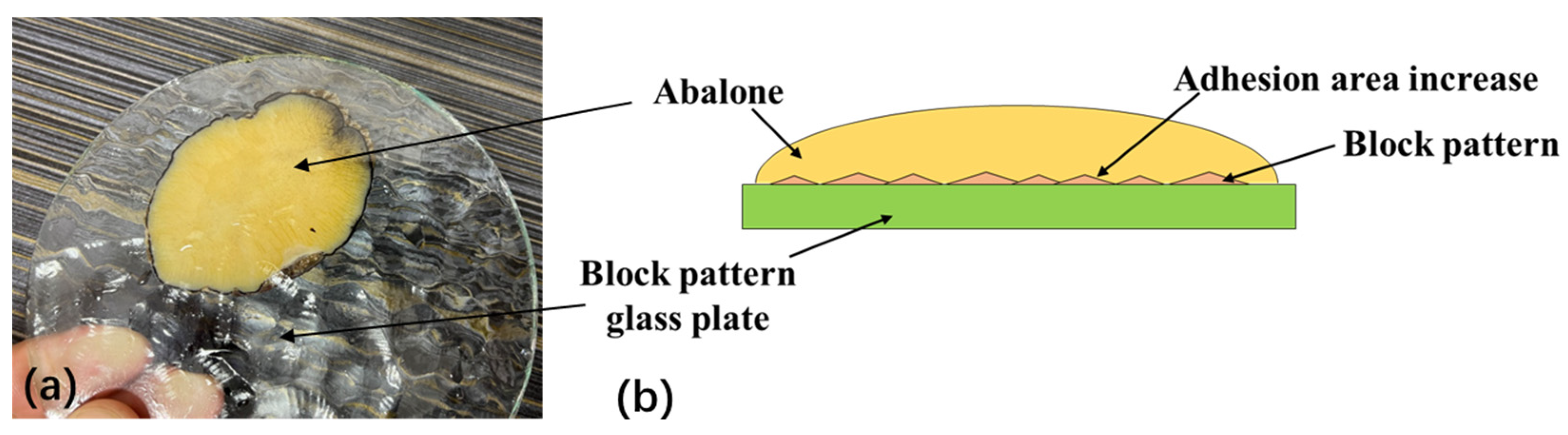 Biomimetics 09 00206 g006