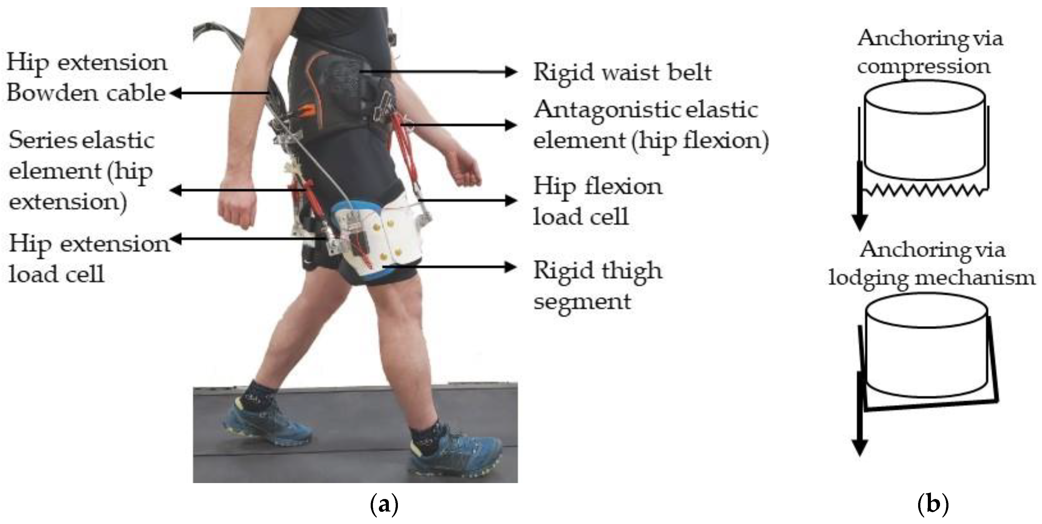 Biomimetics 09 00211 g001