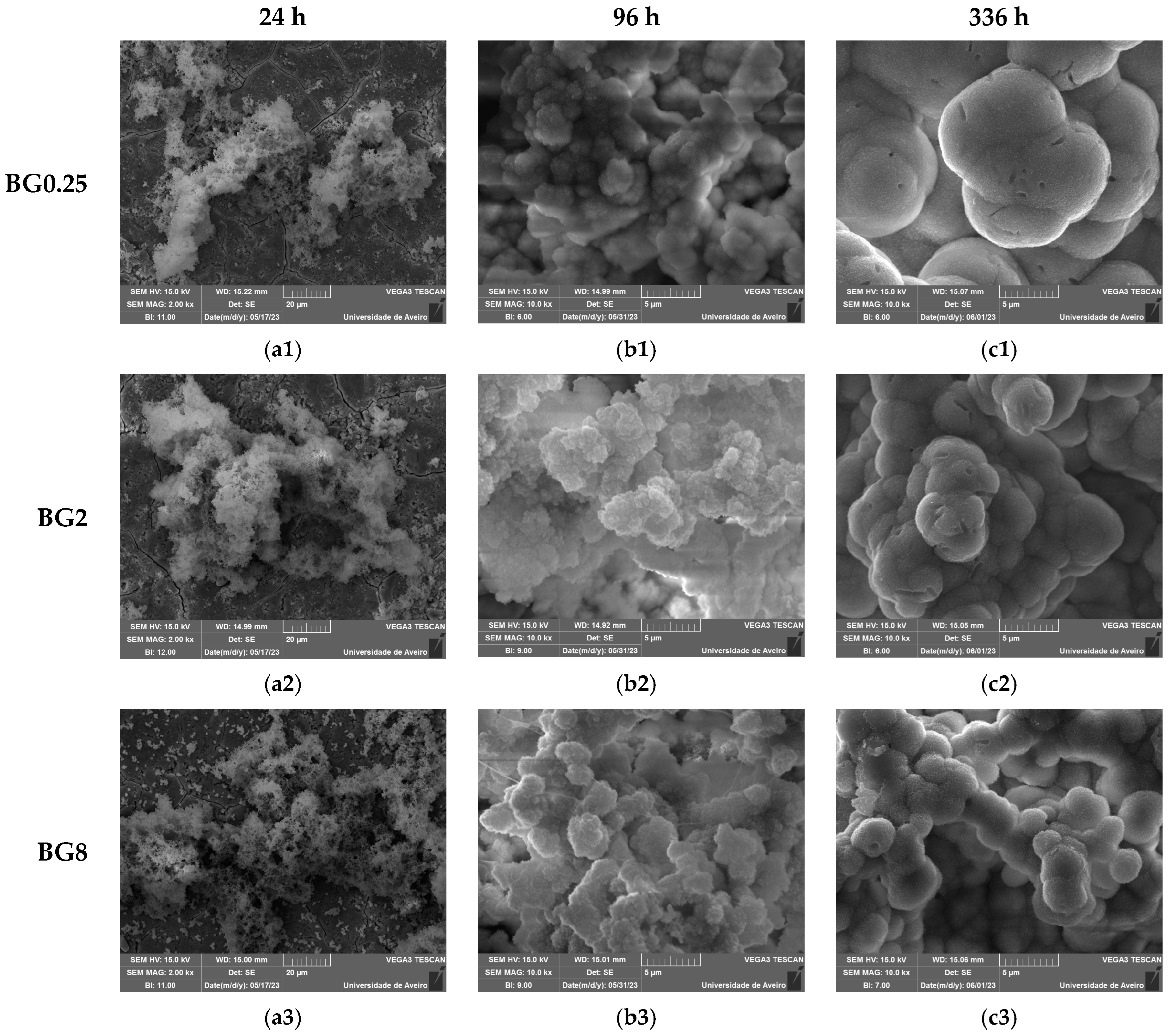 Biomimetics 09 00213 g009