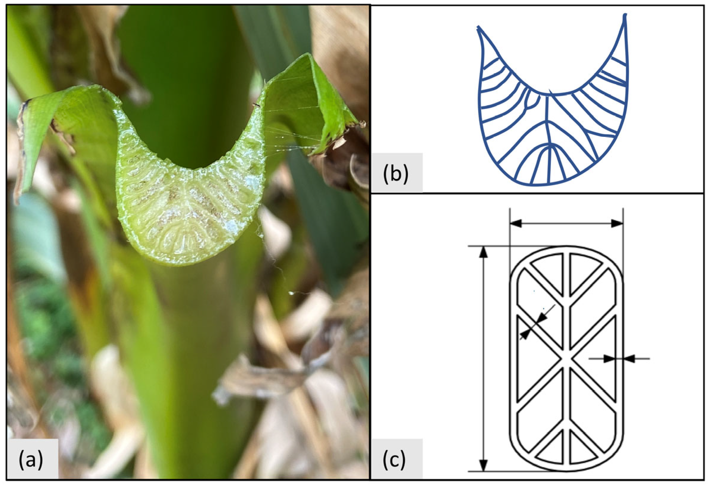 Biomimetics 09 00214 g008