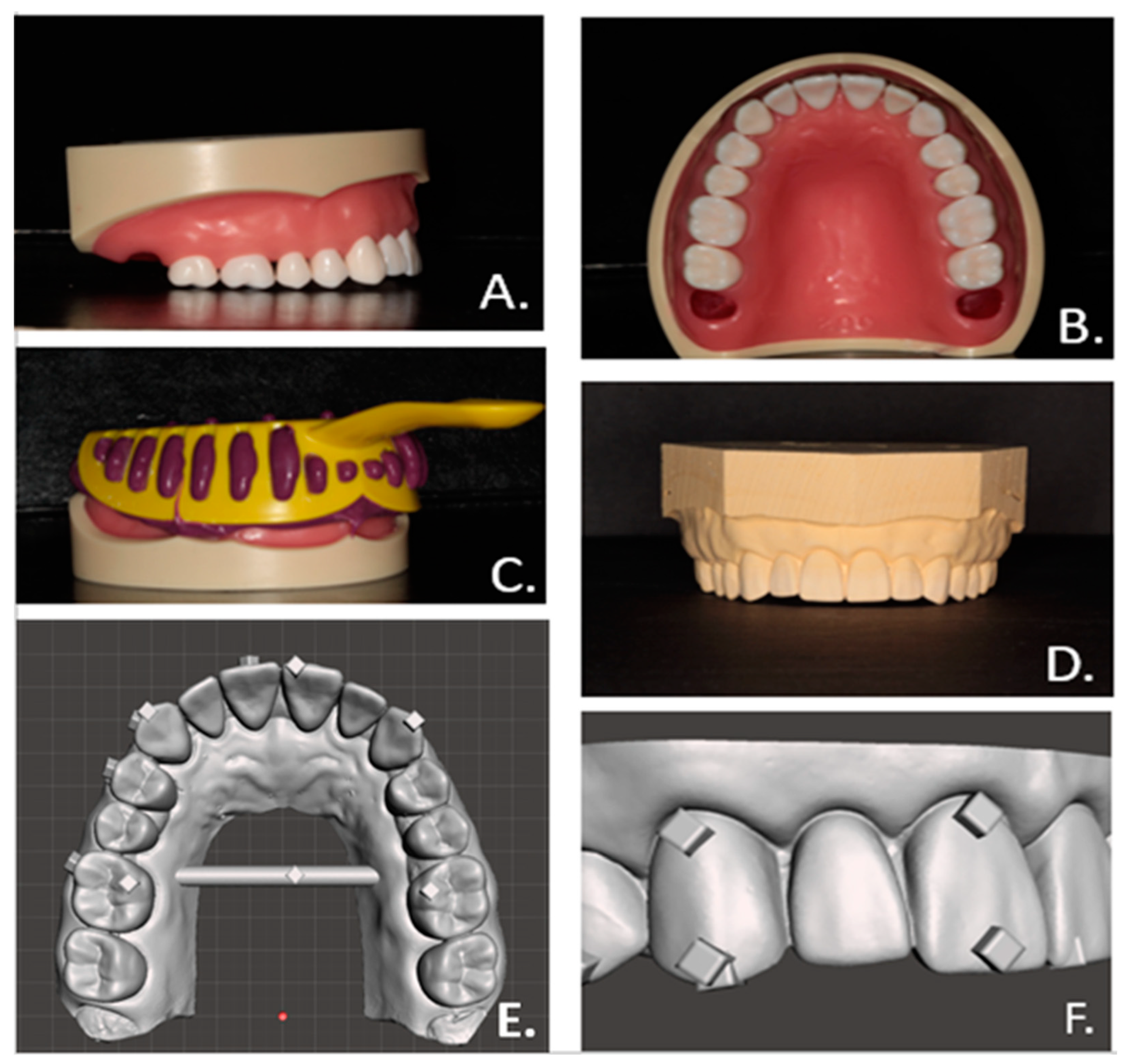 Biomimetics 09 00217 g001