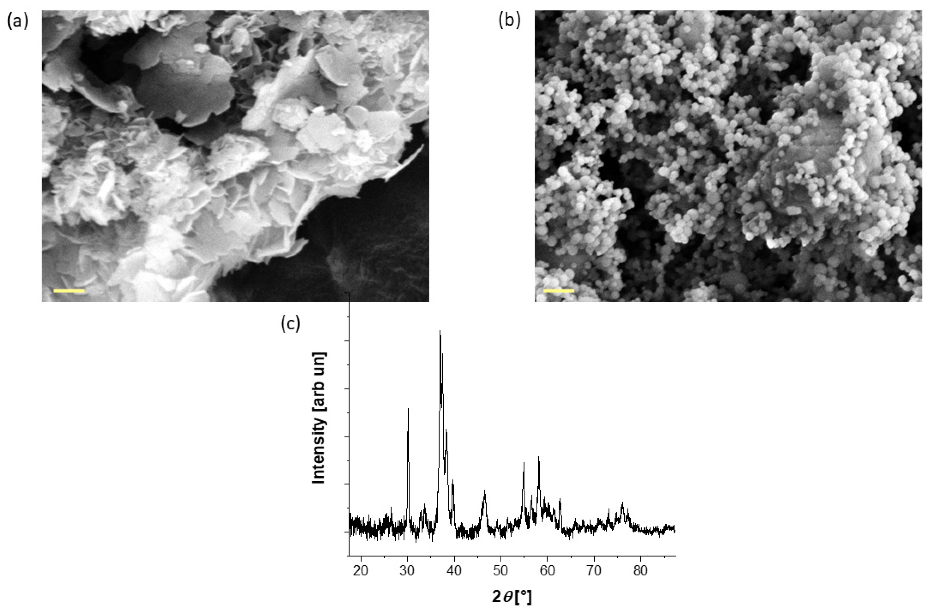 Biomimetics 09 00218 g002