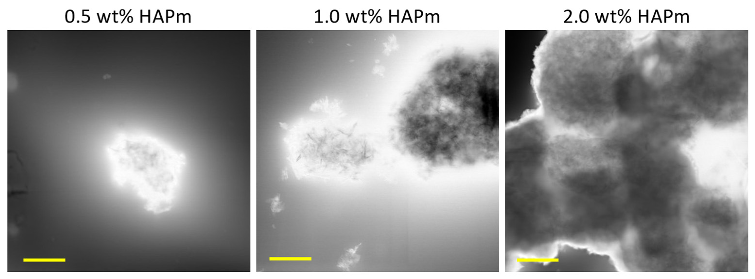 Biomimetics 09 00218 g003