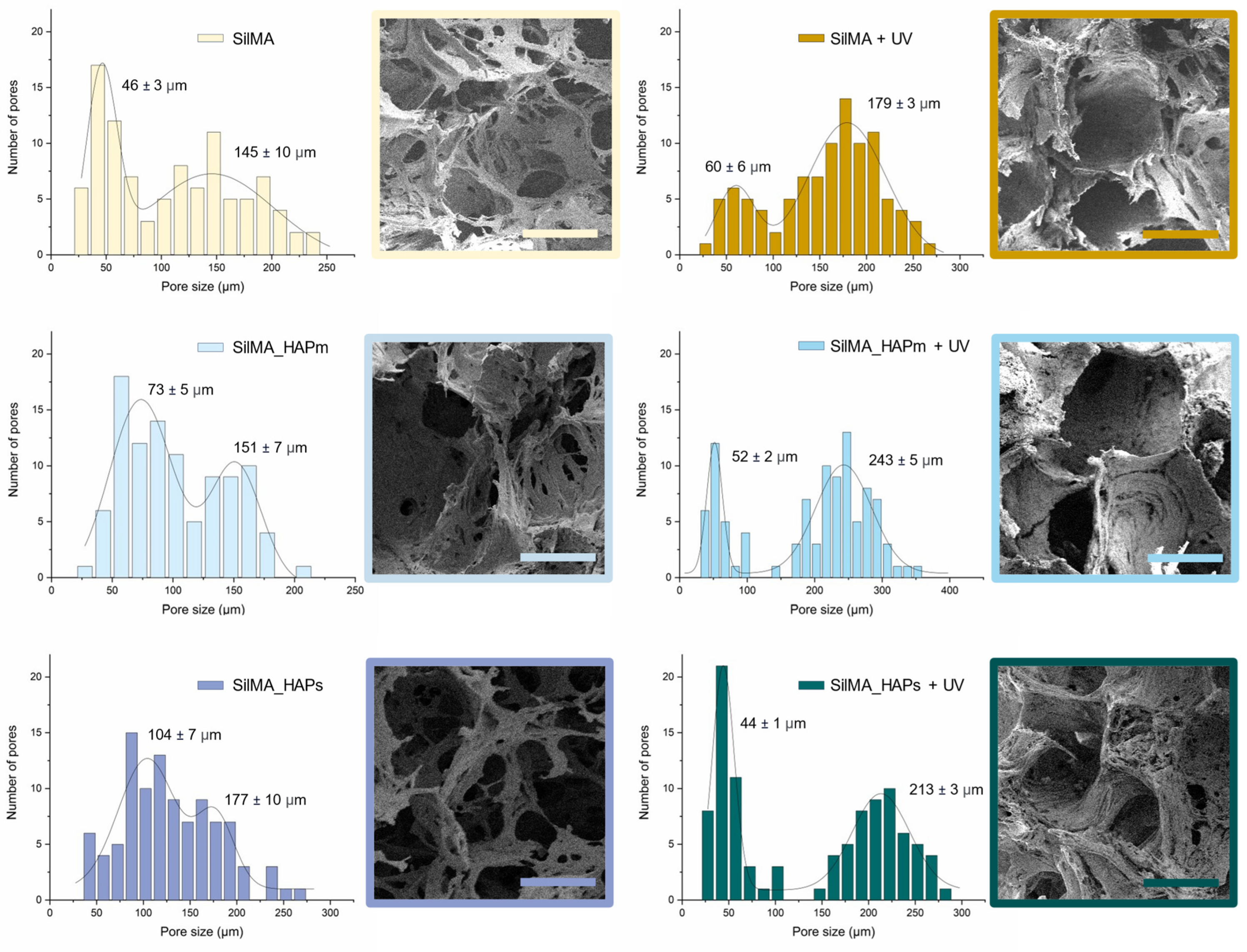 Biomimetics 09 00218 g004