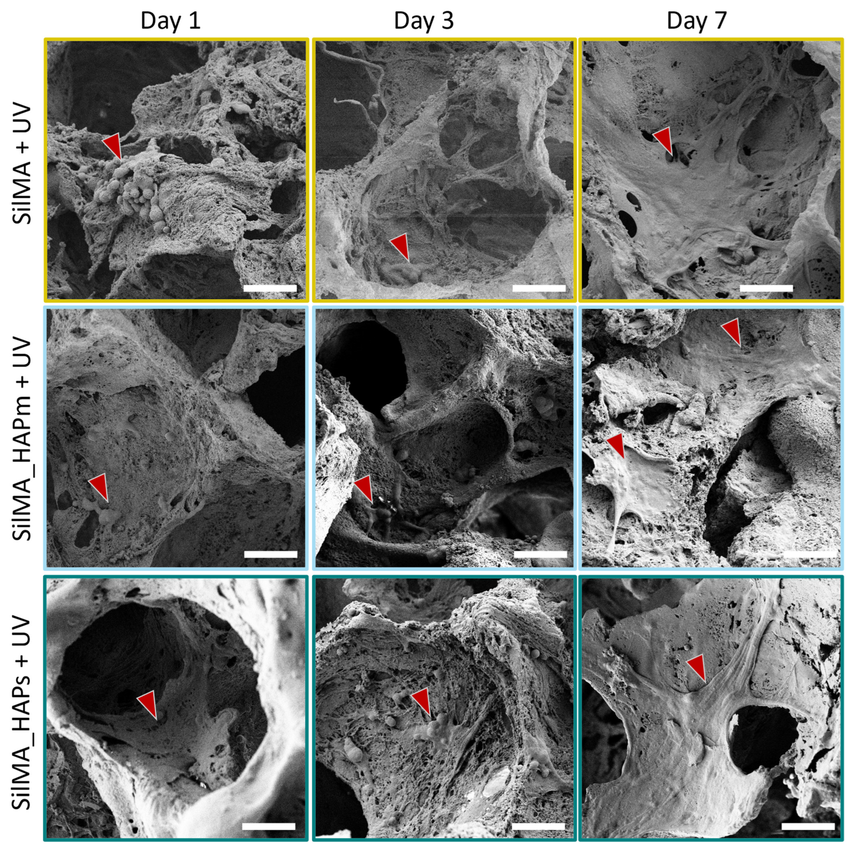 Biomimetics 09 00218 g008