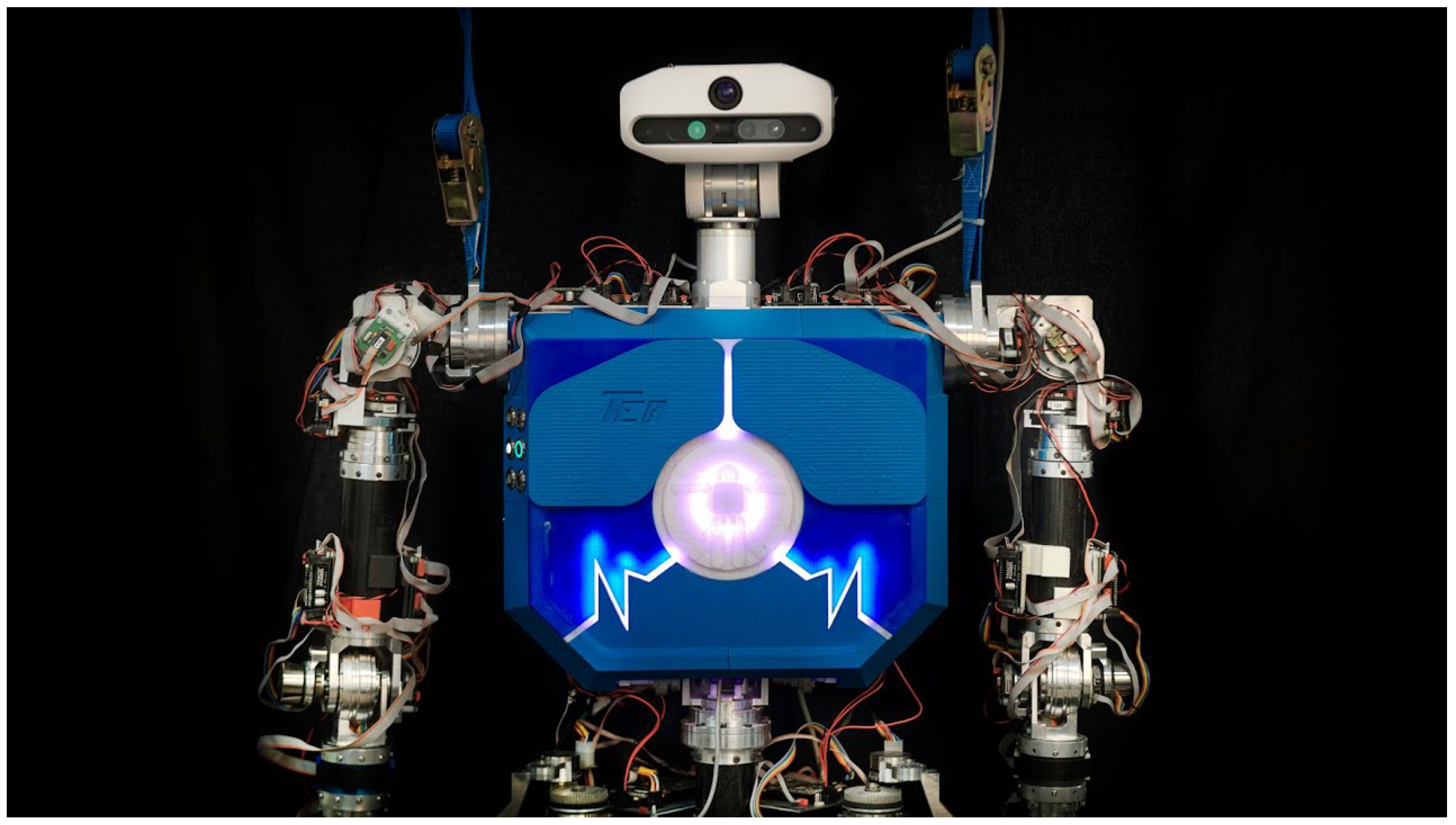 Biomimetics 09 00219 g002