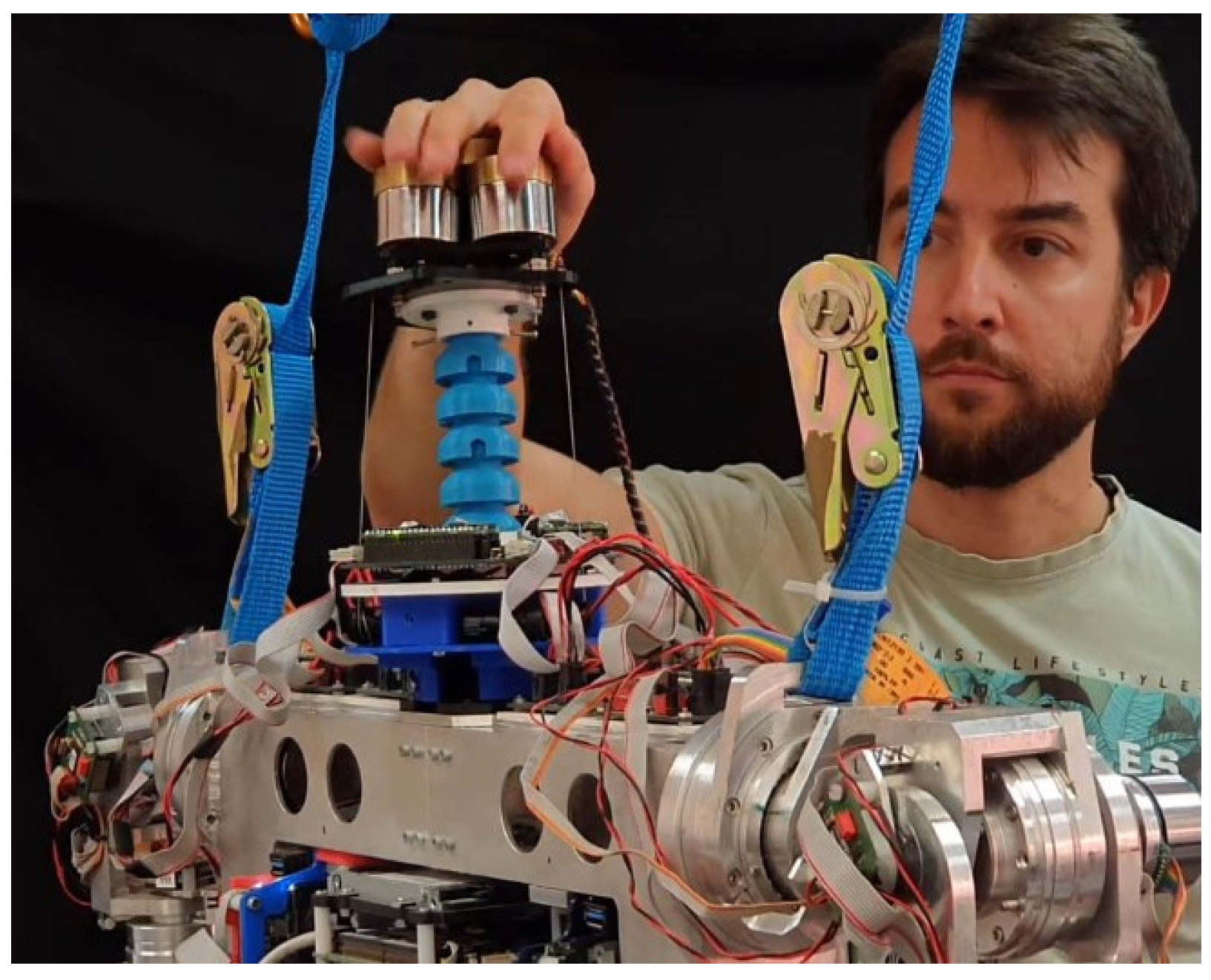 Biomimetics 09 00219 g015