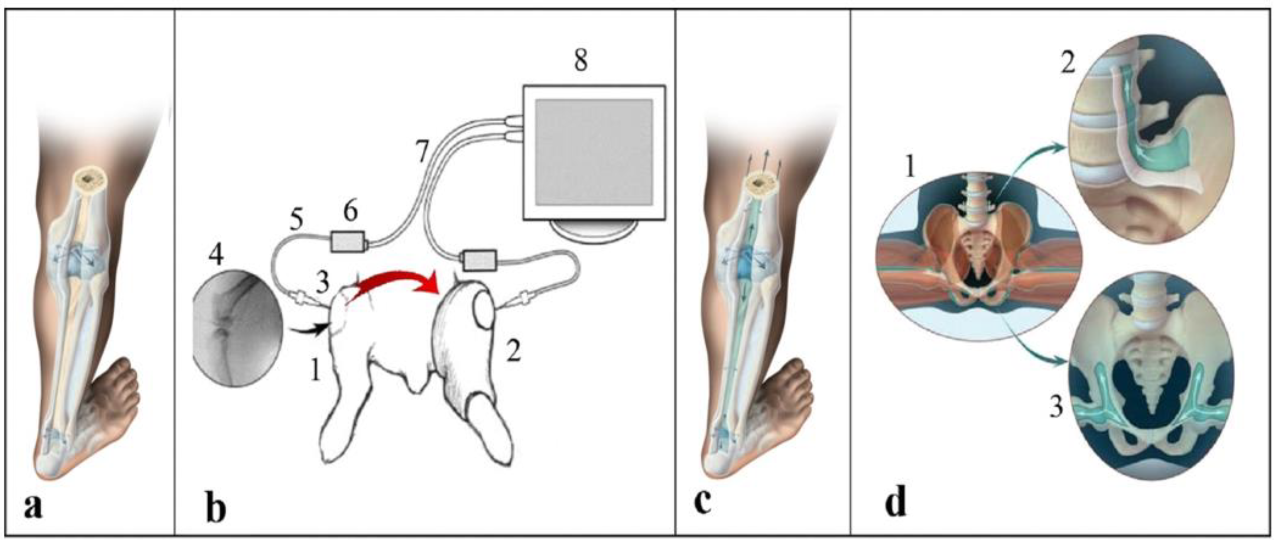 Biomimetics 09 00222 g001
