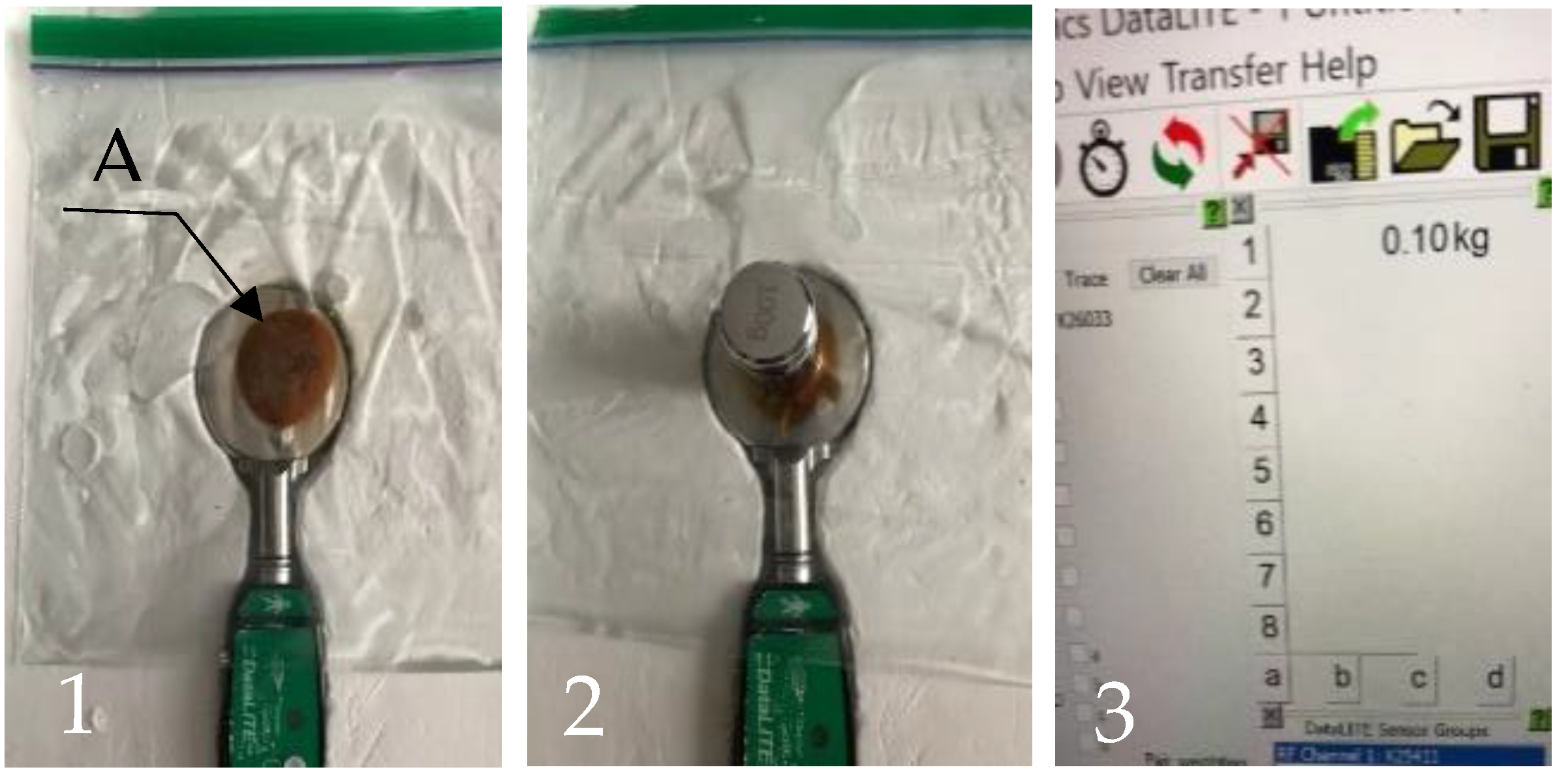 Biomimetics 09 00222 g002