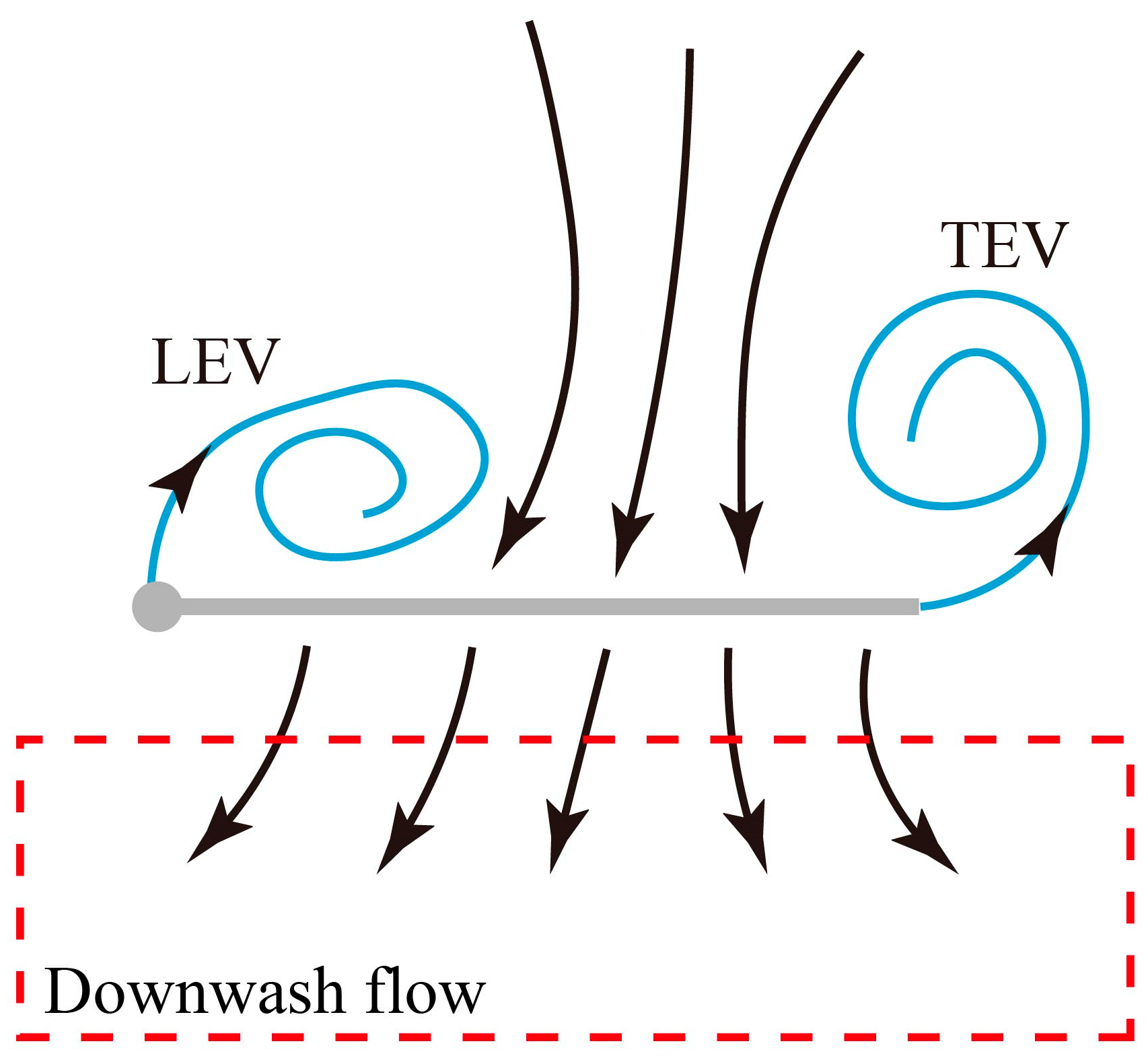 Biomimetics 09 00225 g010