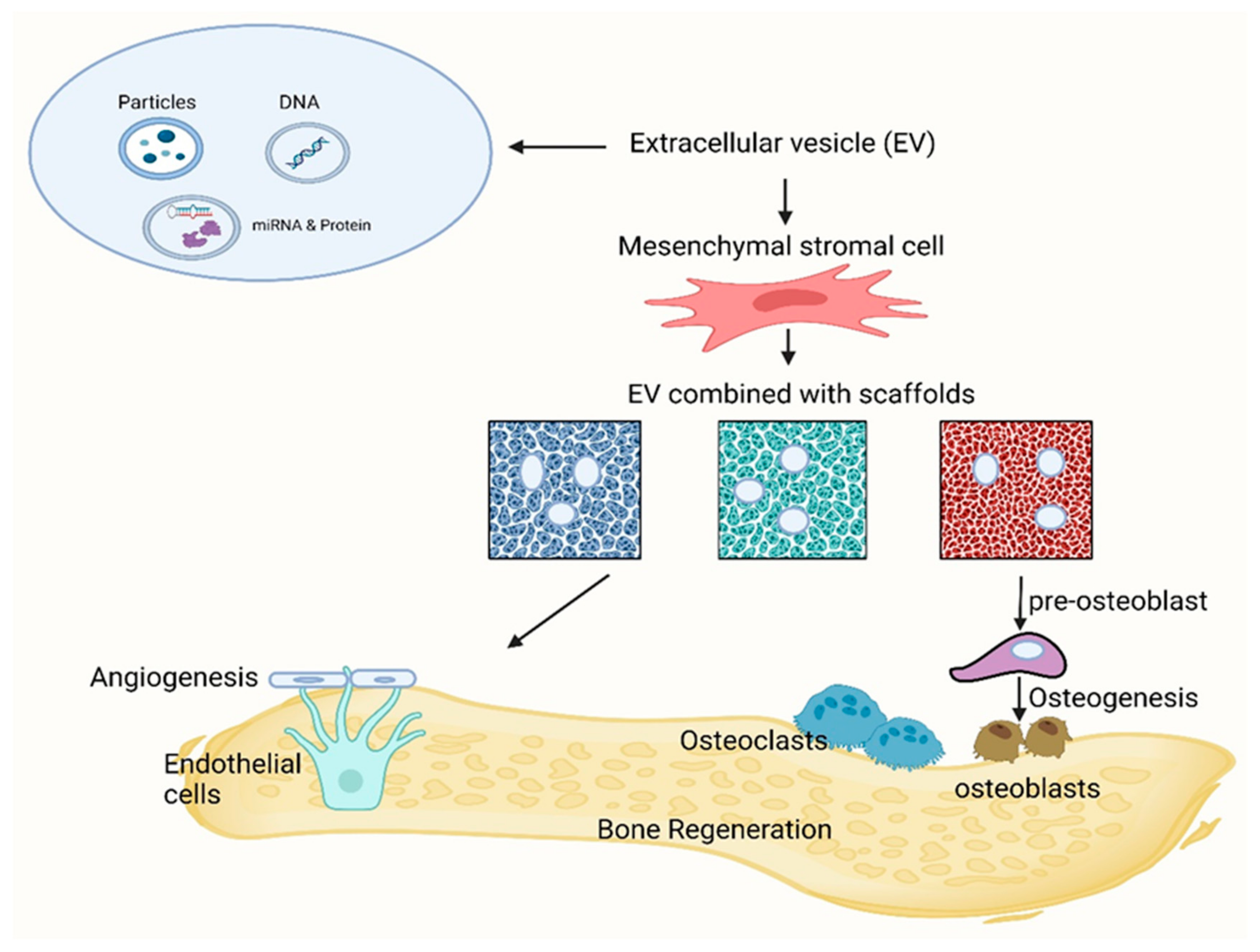 Biomimetics 09 00230 g005