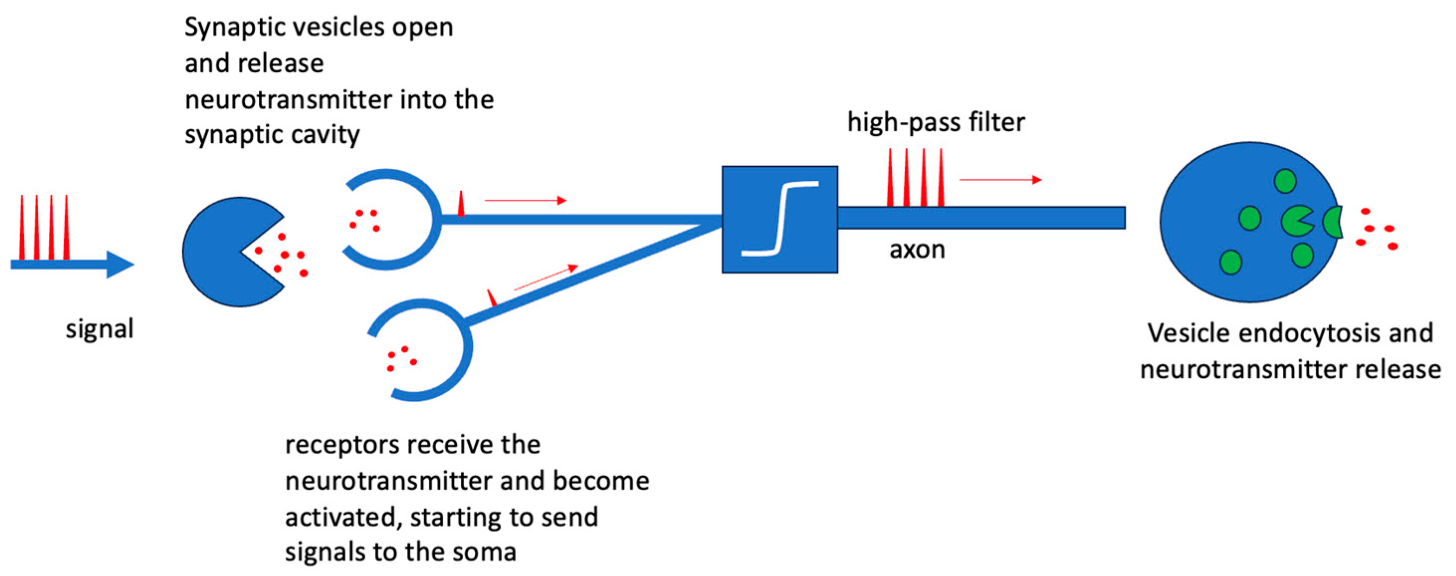 Biomimetics 09 00231 g001