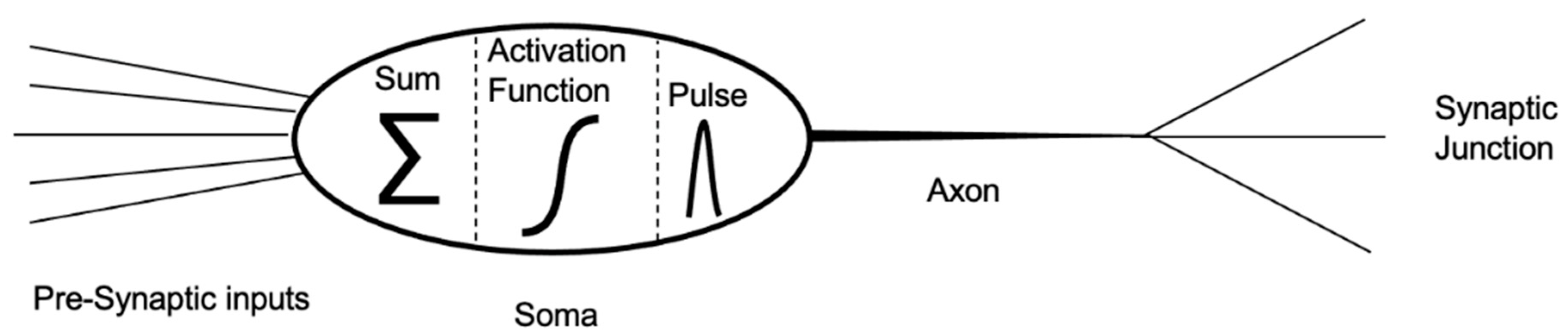 Biomimetics 09 00231 g002