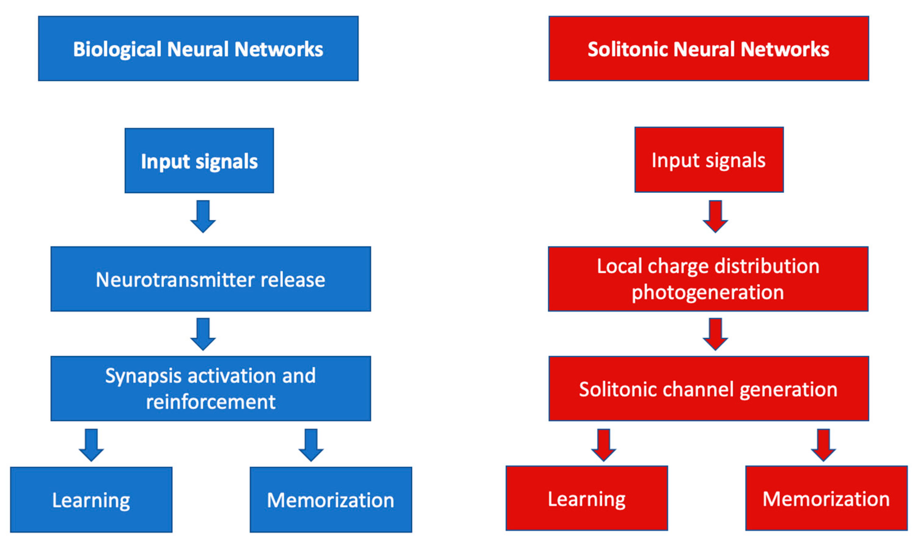 Biomimetics 09 00231 g003