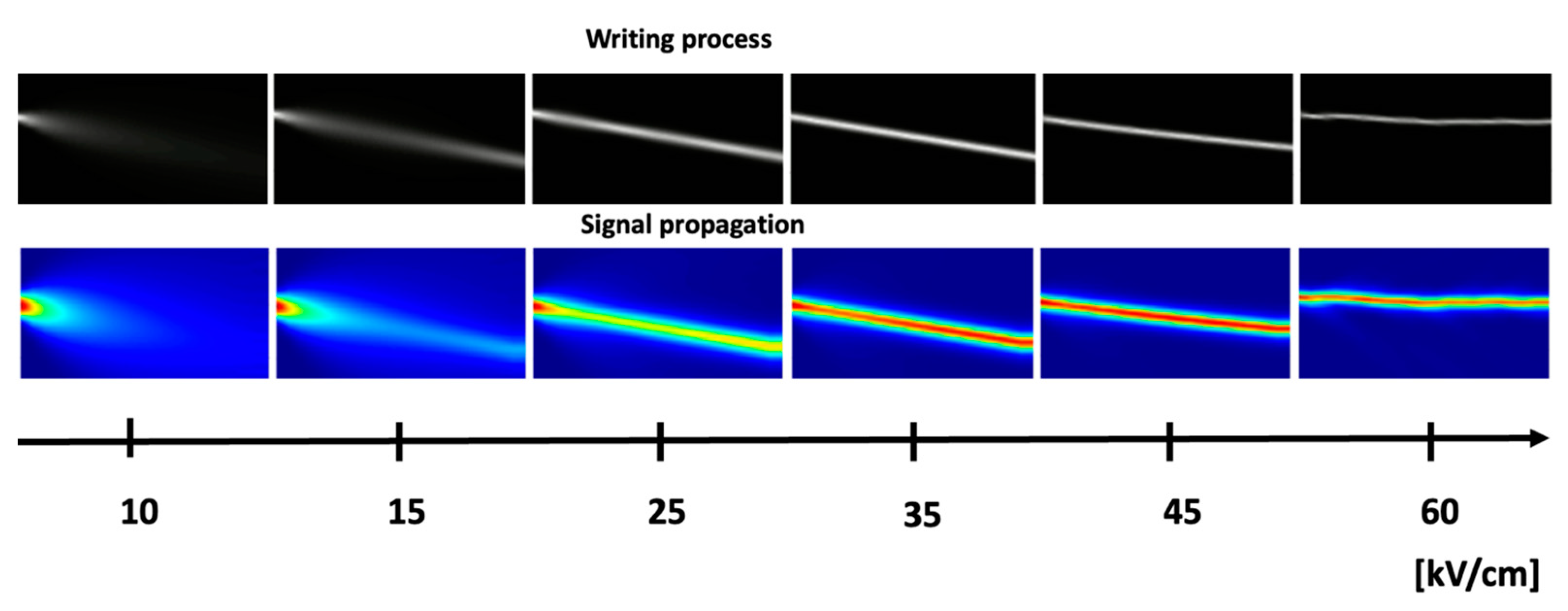 Biomimetics 09 00231 g004