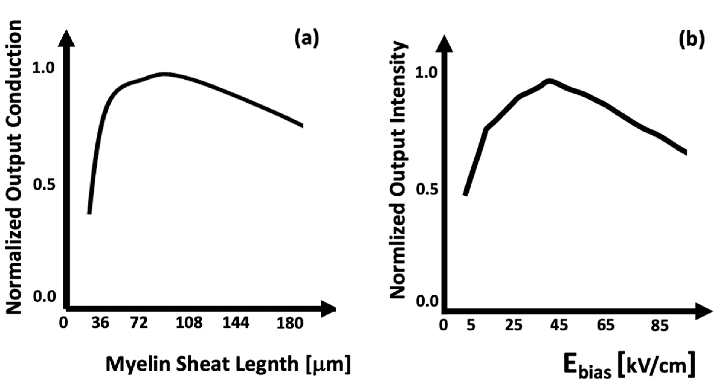 Biomimetics 09 00231 g005