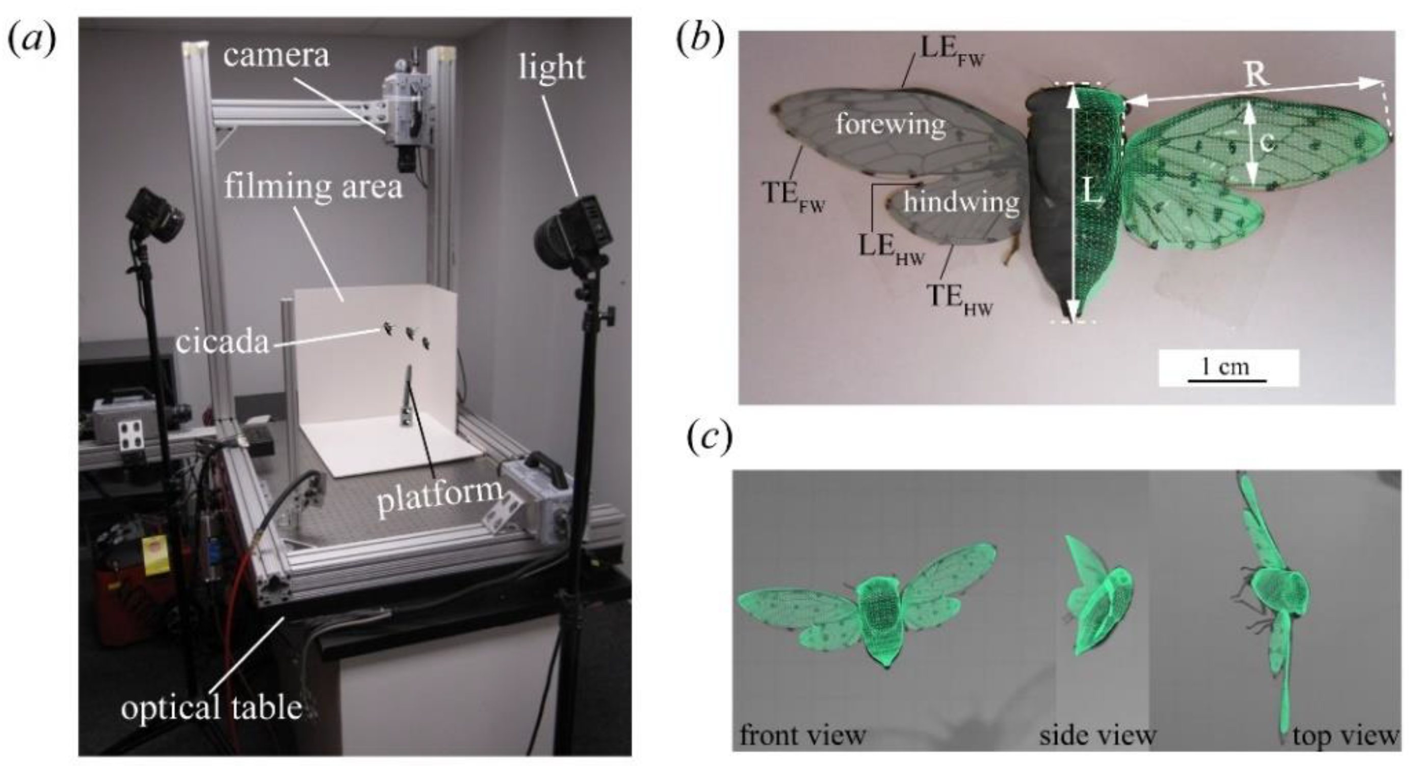 Biomimetics 09 00233 g001 Biomimetics 09 00233 g001