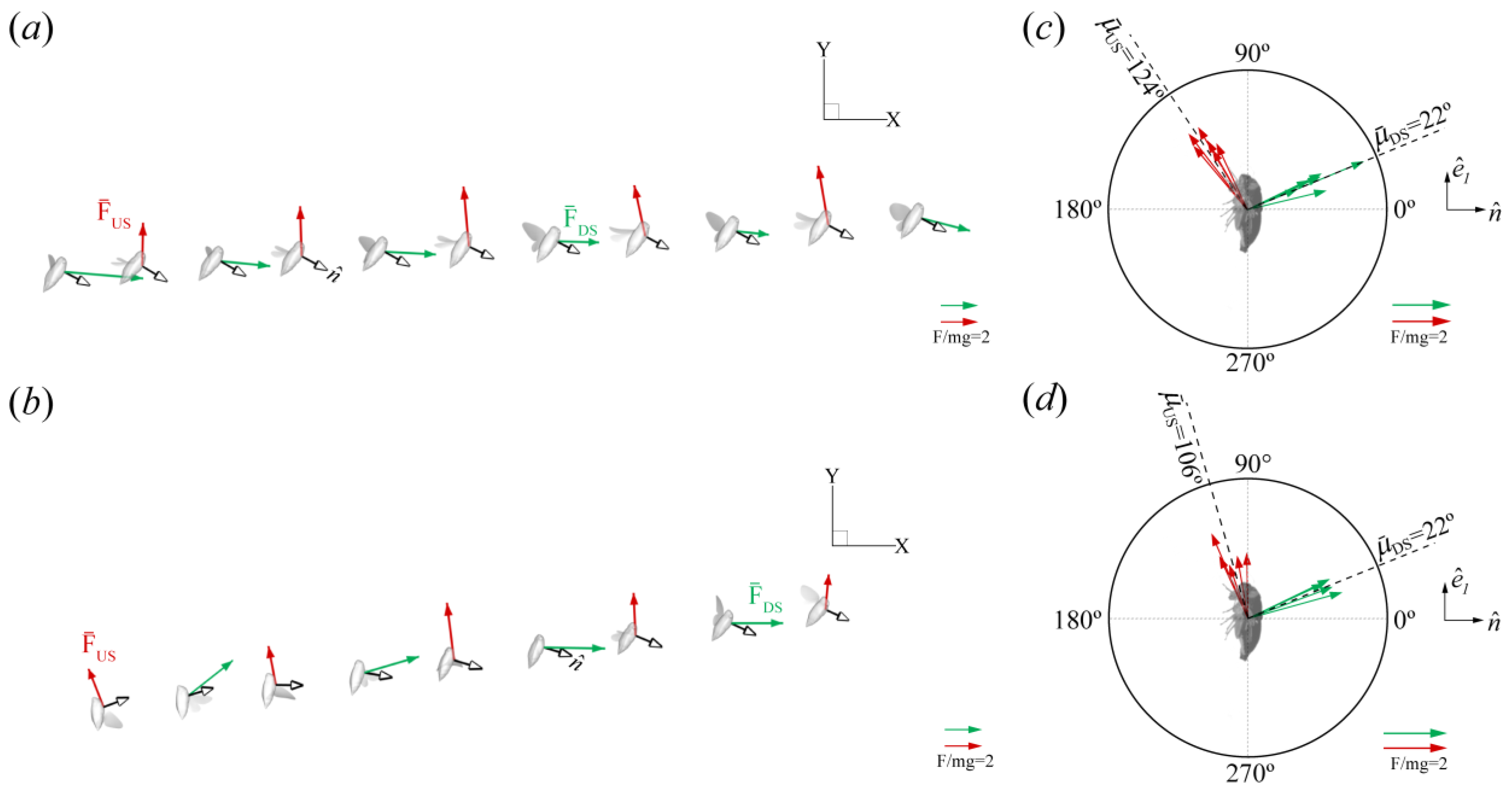 Biomimetics 09 00233 g007 Biomimetics 09 00233 g007