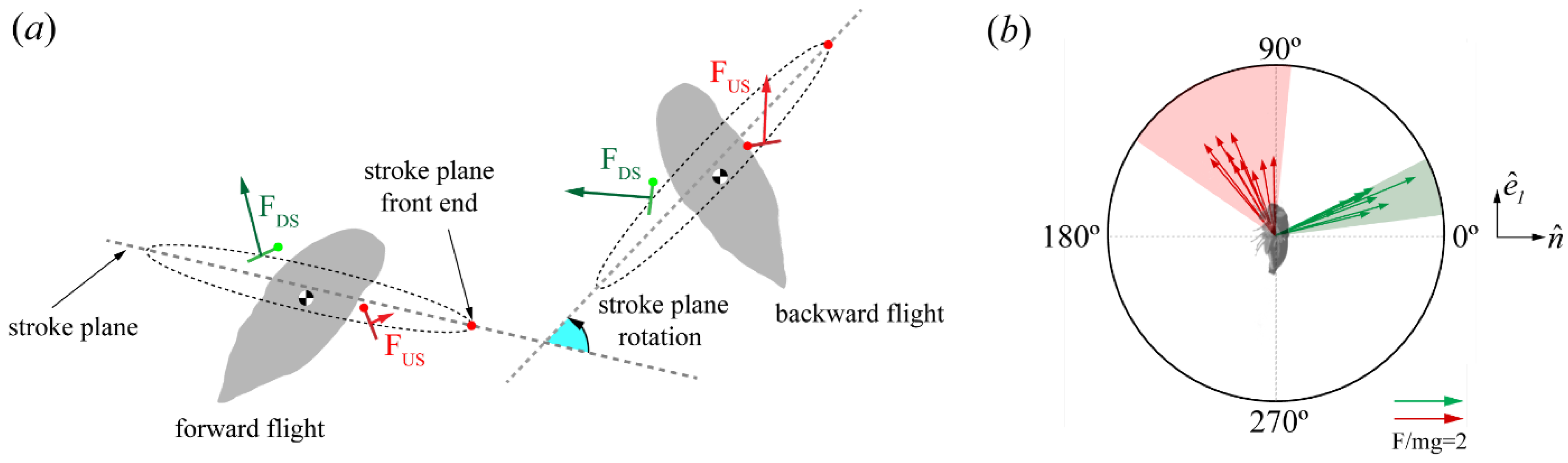 Biomimetics 09 00233 g011 Biomimetics 09 00233 g011