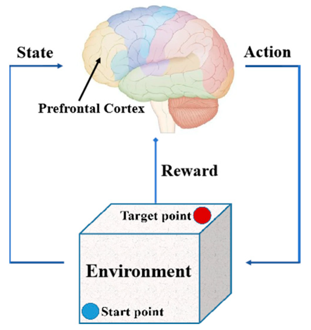 Biomimetics 09 00238 g004