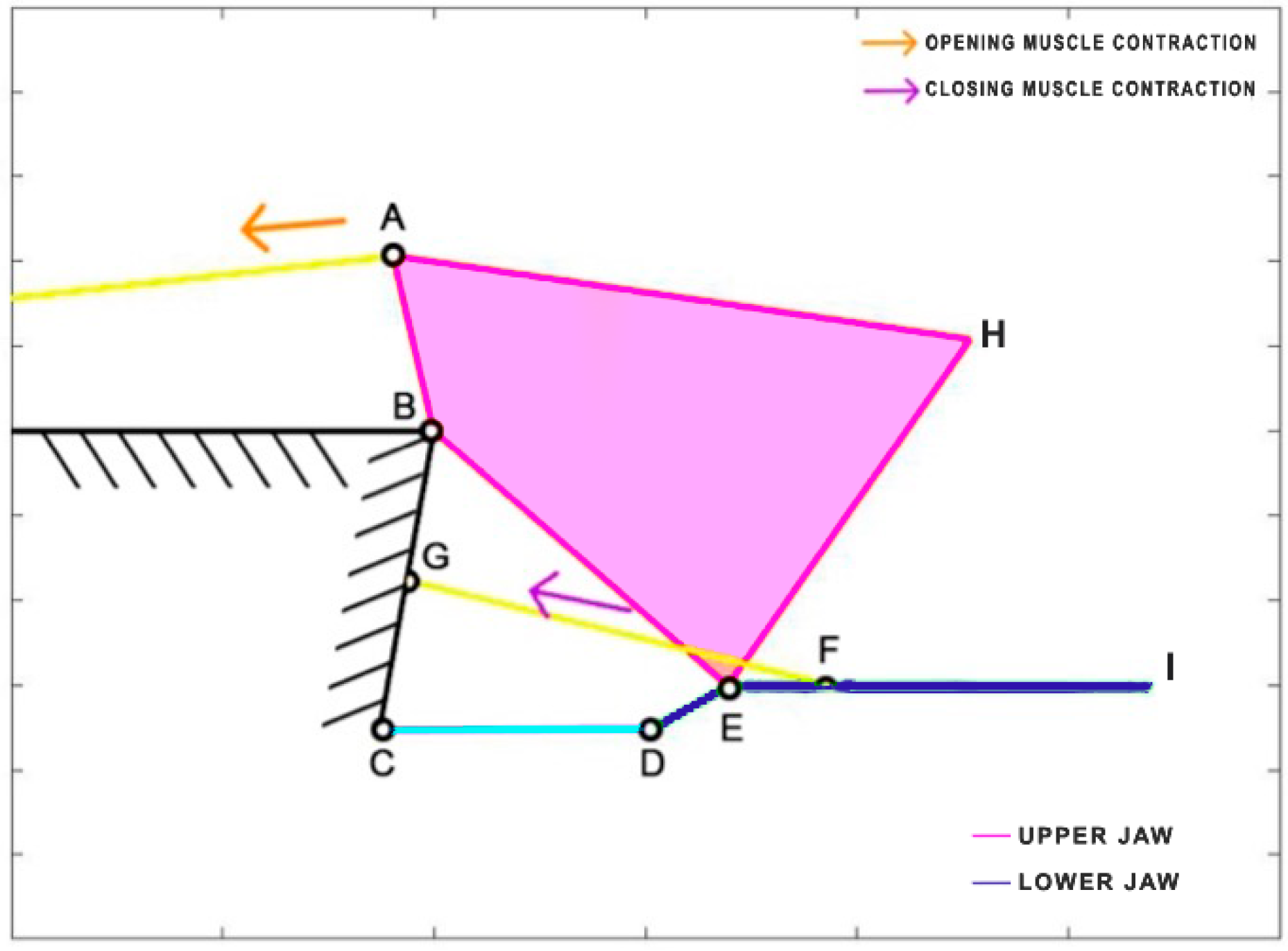Biomimetics 09 00239 g007