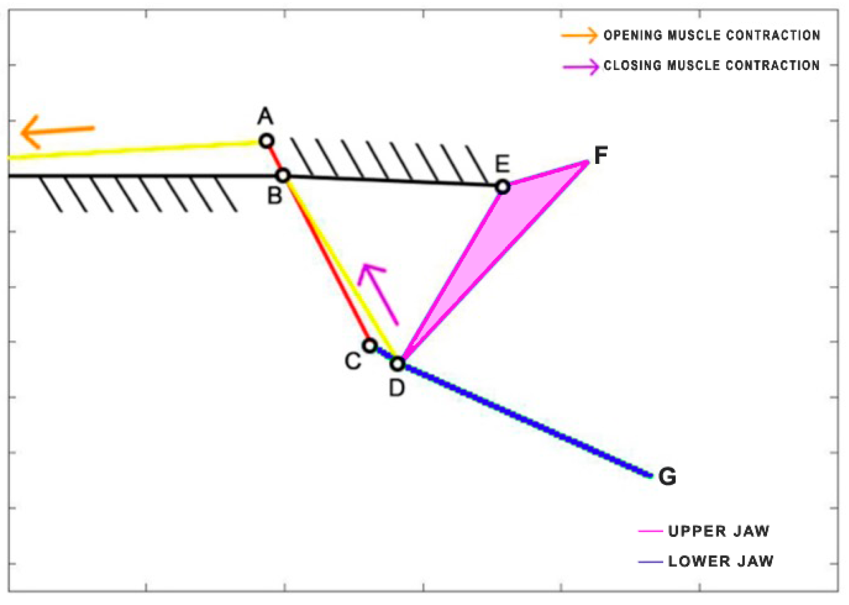 Biomimetics 09 00239 g008