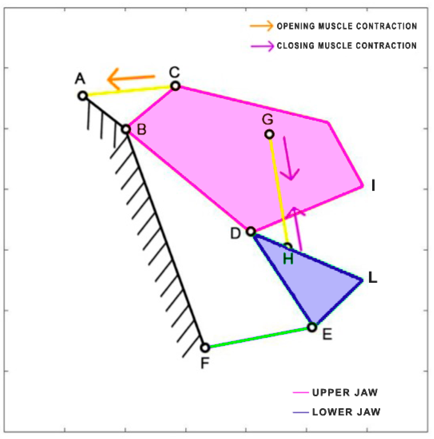 Biomimetics 09 00239 g009