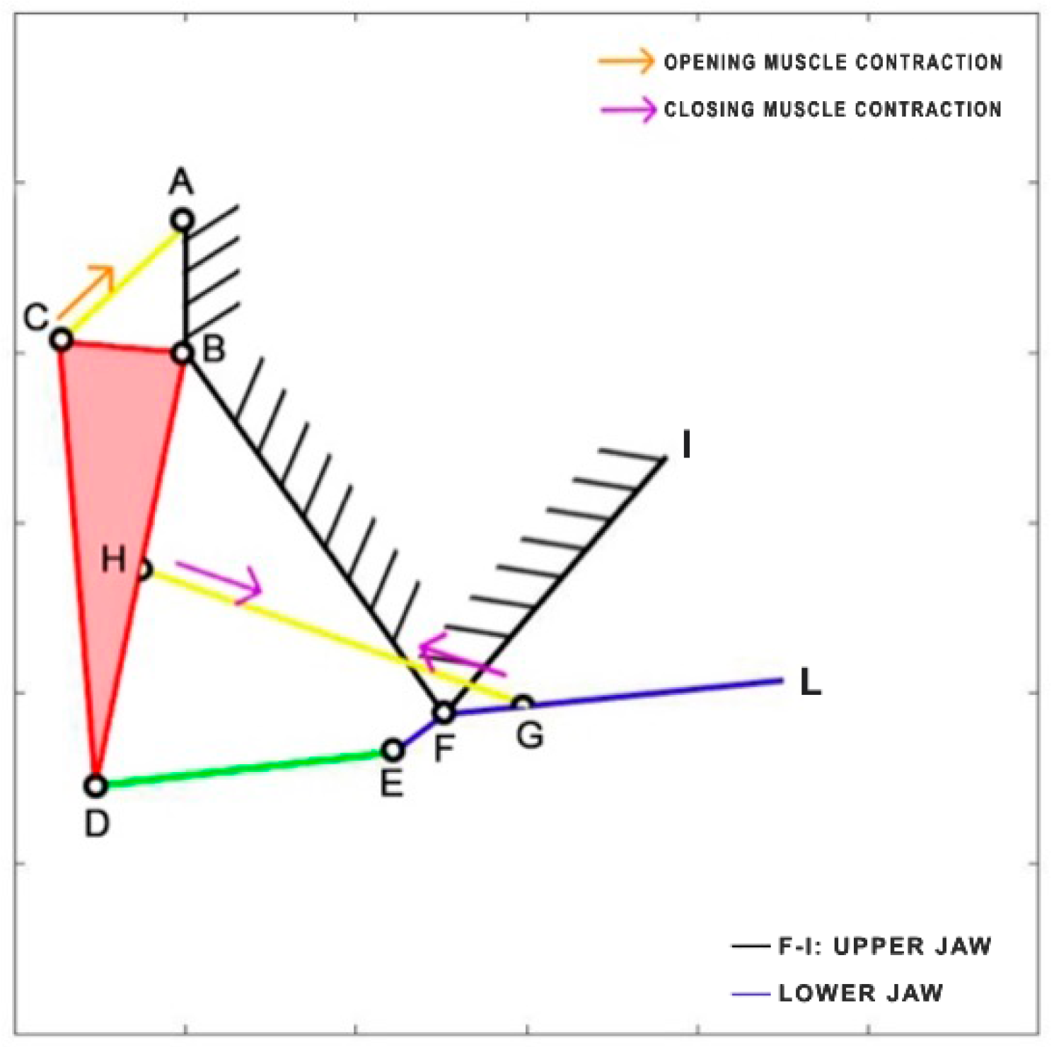 Biomimetics 09 00239 g010